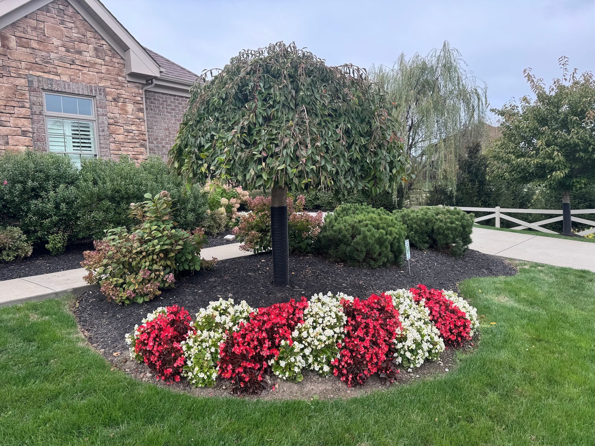 Landscaped yard with a flowering tree, red-and-white flower bed, shrubs, and a brick house in the background