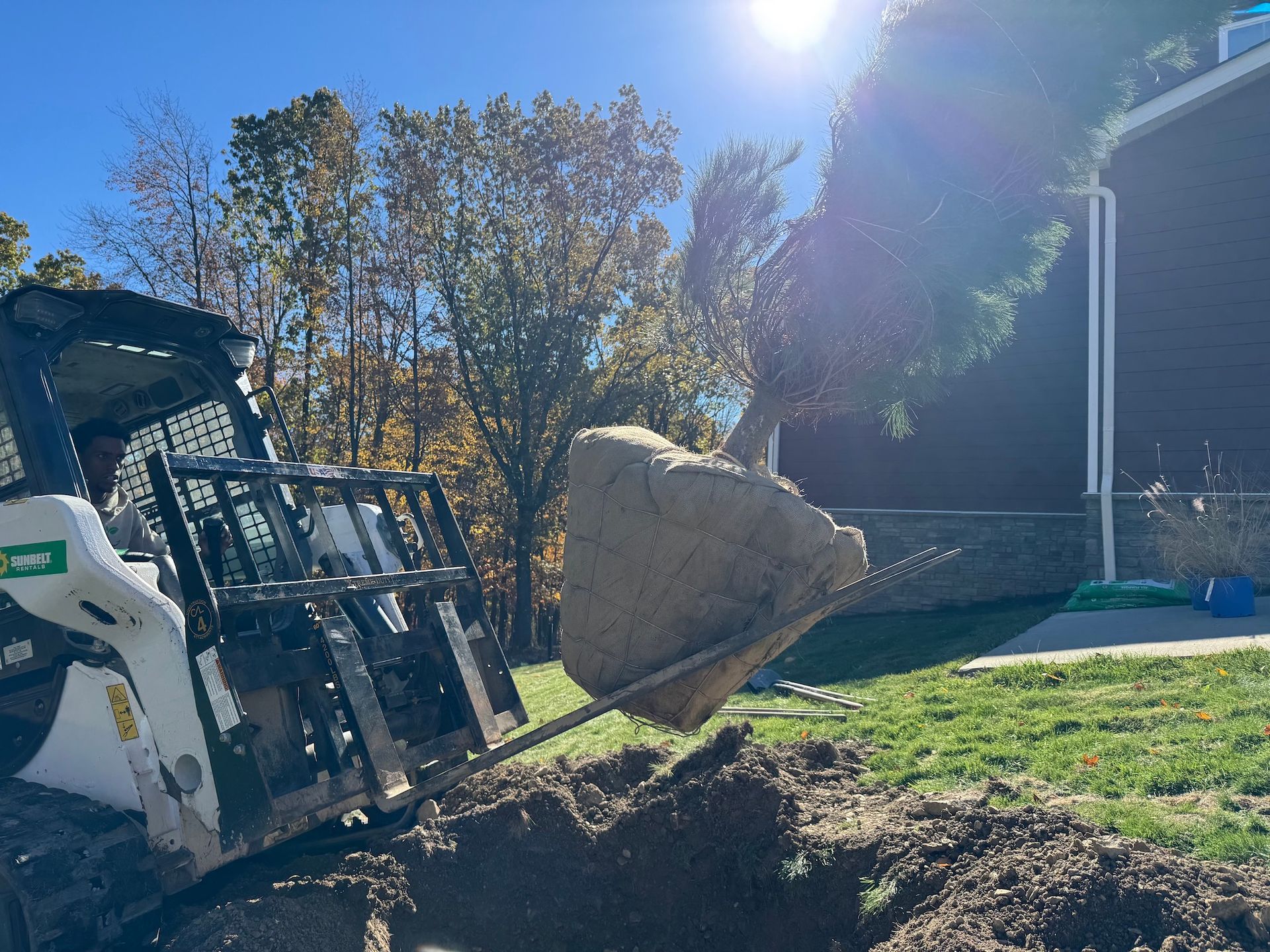 Skid steer lifting a large rock into a trench in a sunny yard beside a house