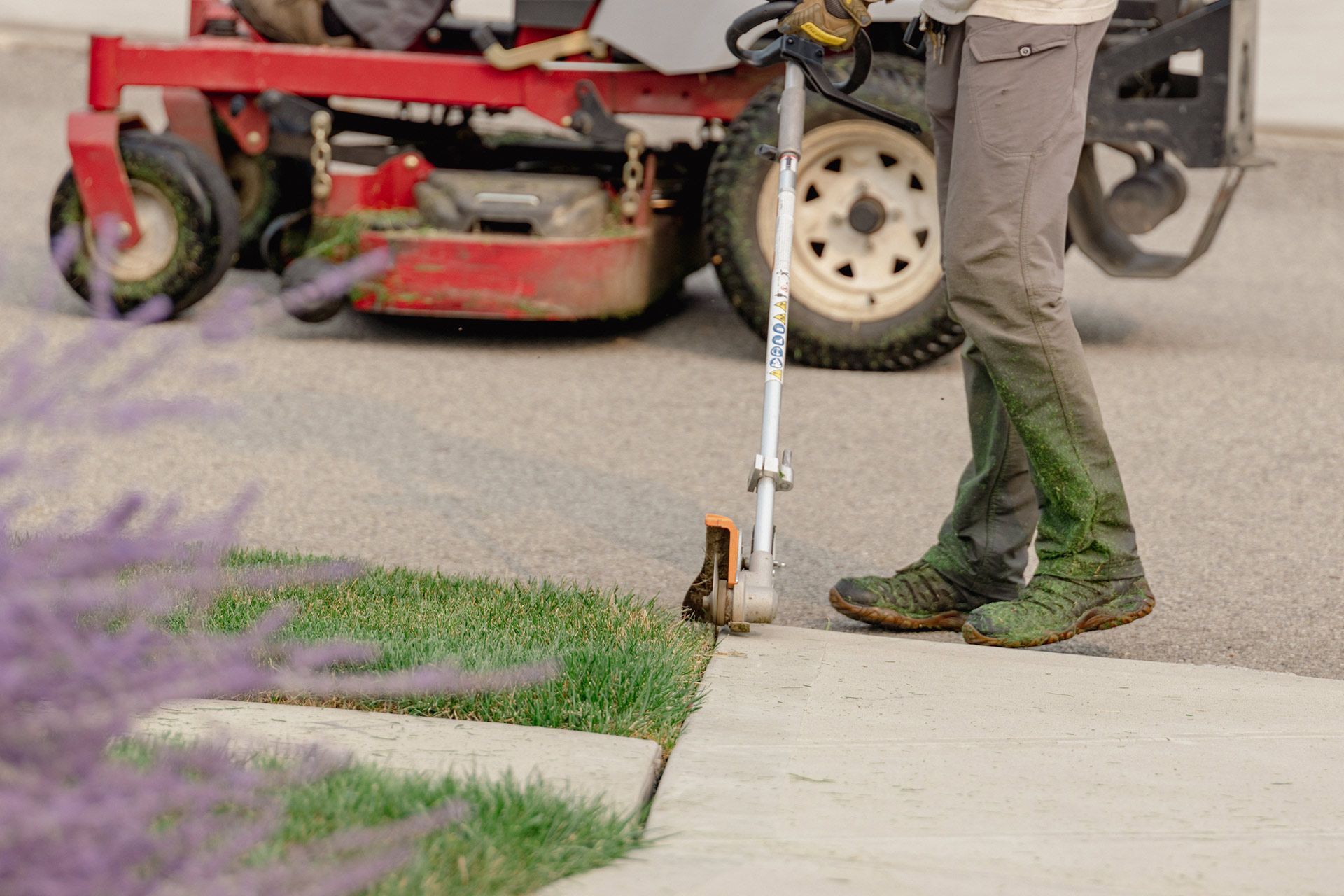 Worker edging lawn beside sidewalk with a power trimmer near a red mower