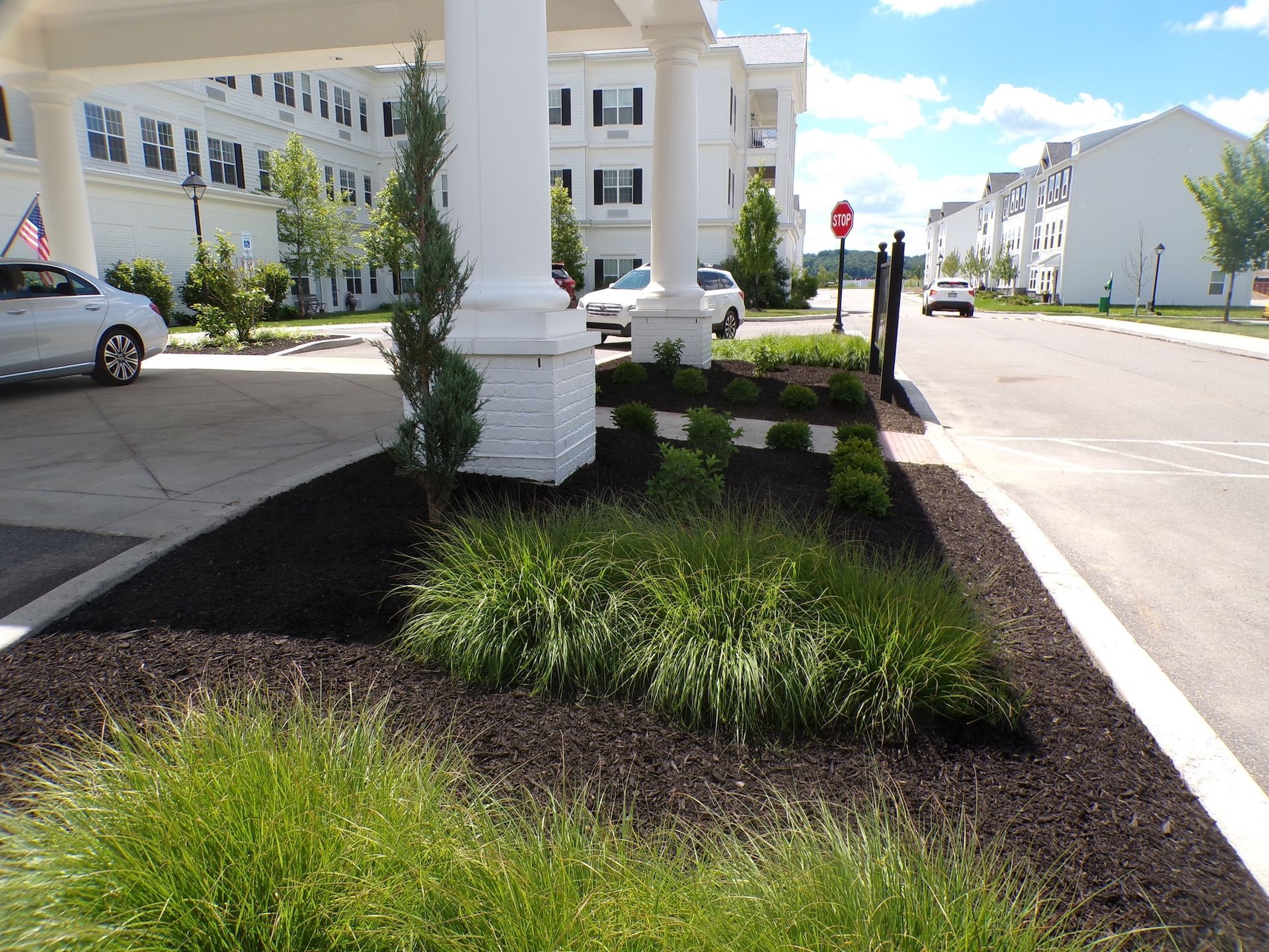 Landscaped apartment complex sidewalk with mulch beds, shrubs, and white buildings in sunlight