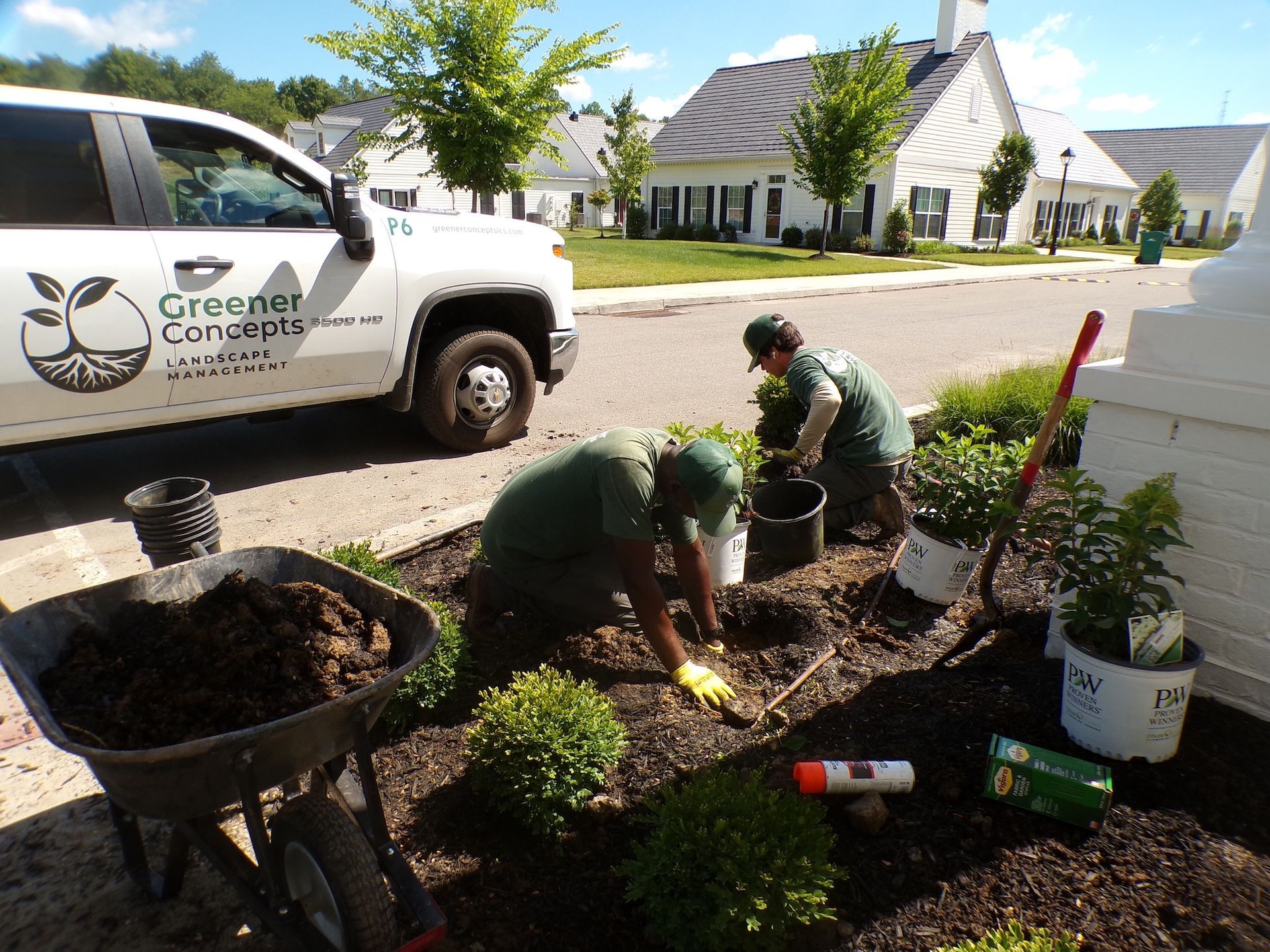 Two landscapers planting shrubs beside a white truck in a suburban yard