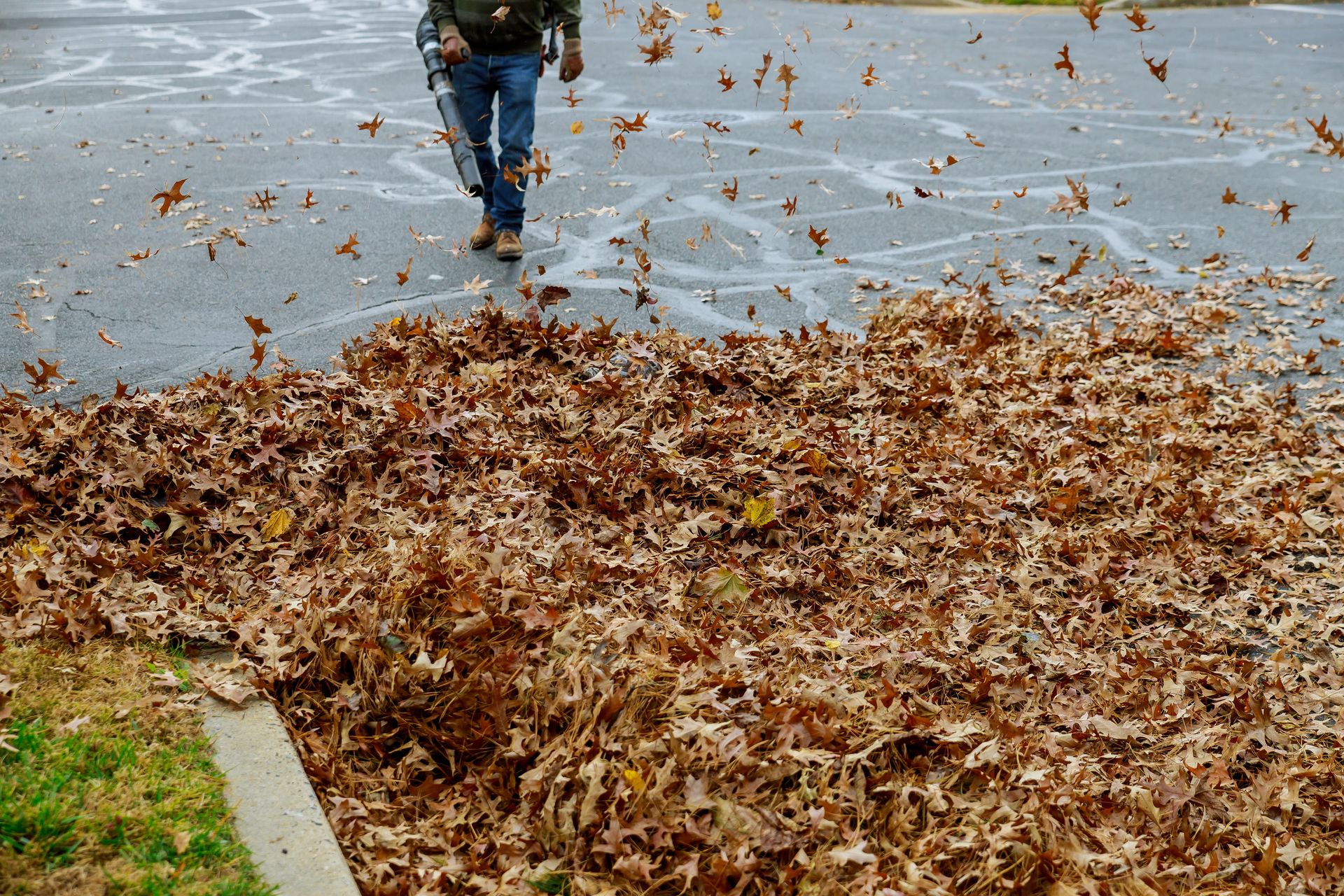Person using a leaf blower clears wet autumn leaves from a sidewalk and street