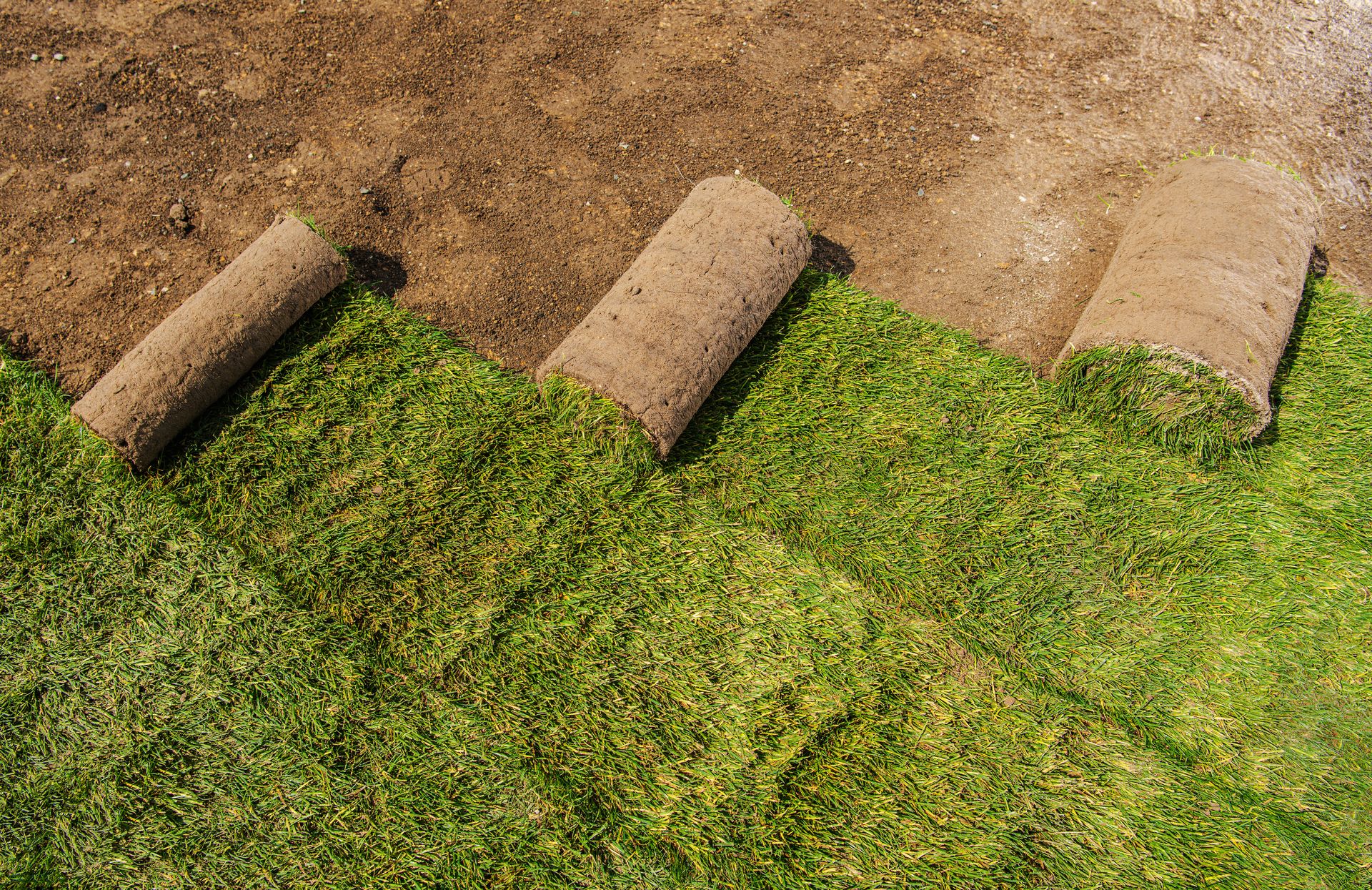 Rolled sod strips laid over brown soil, creating a green lawn edge