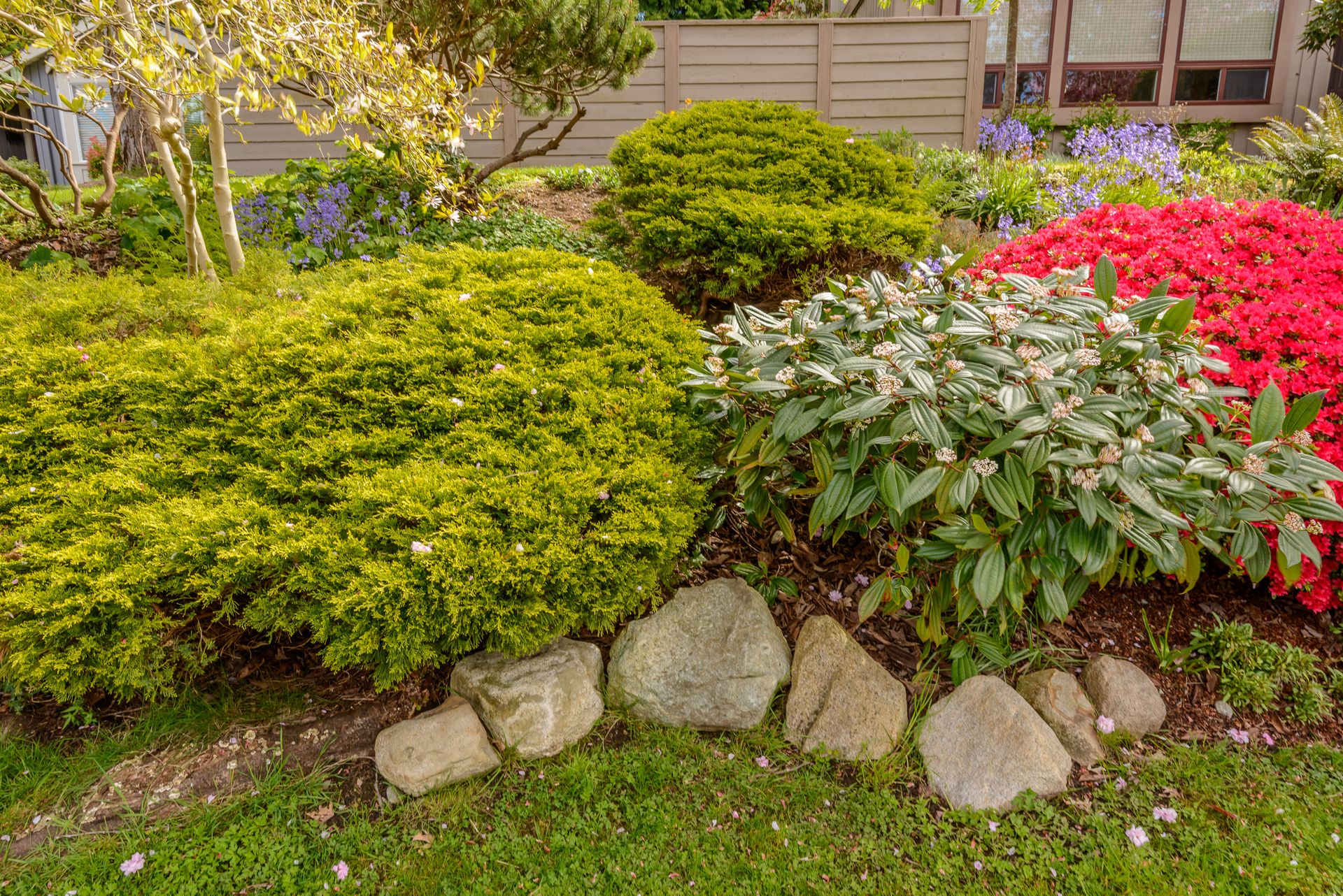 Landscaped garden with green shrubs, pink flowers, and rocks along the edge.