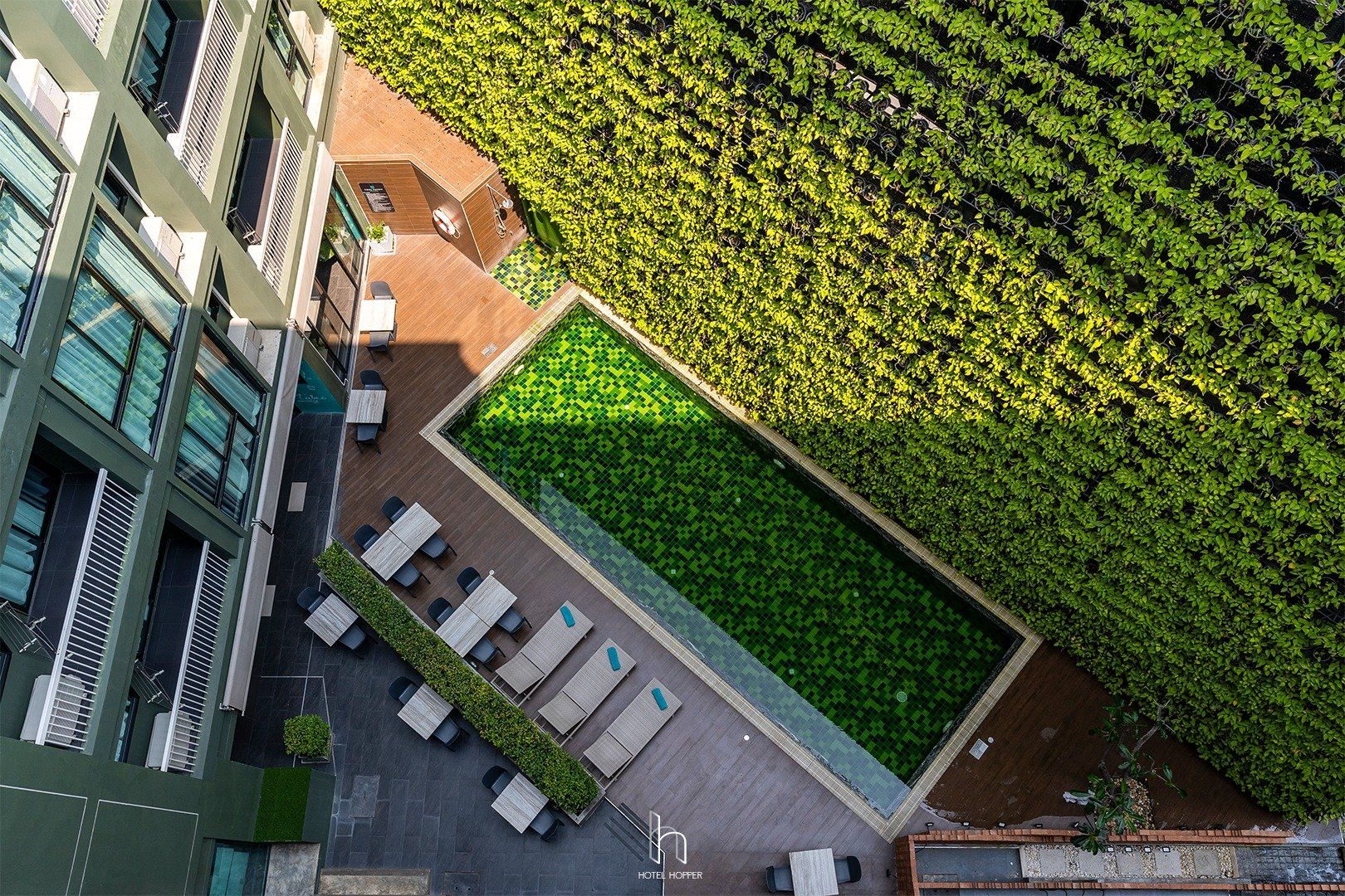 pet friendly hotel chiang mai