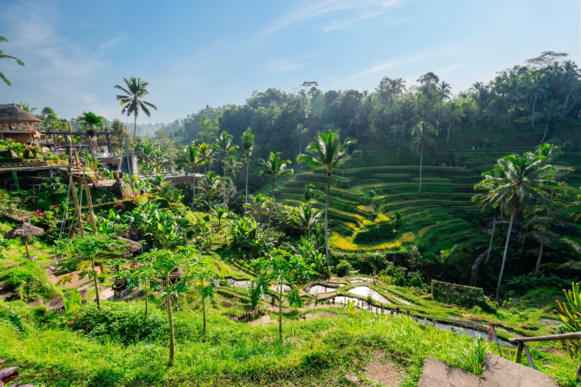 best resorts for couples in bali