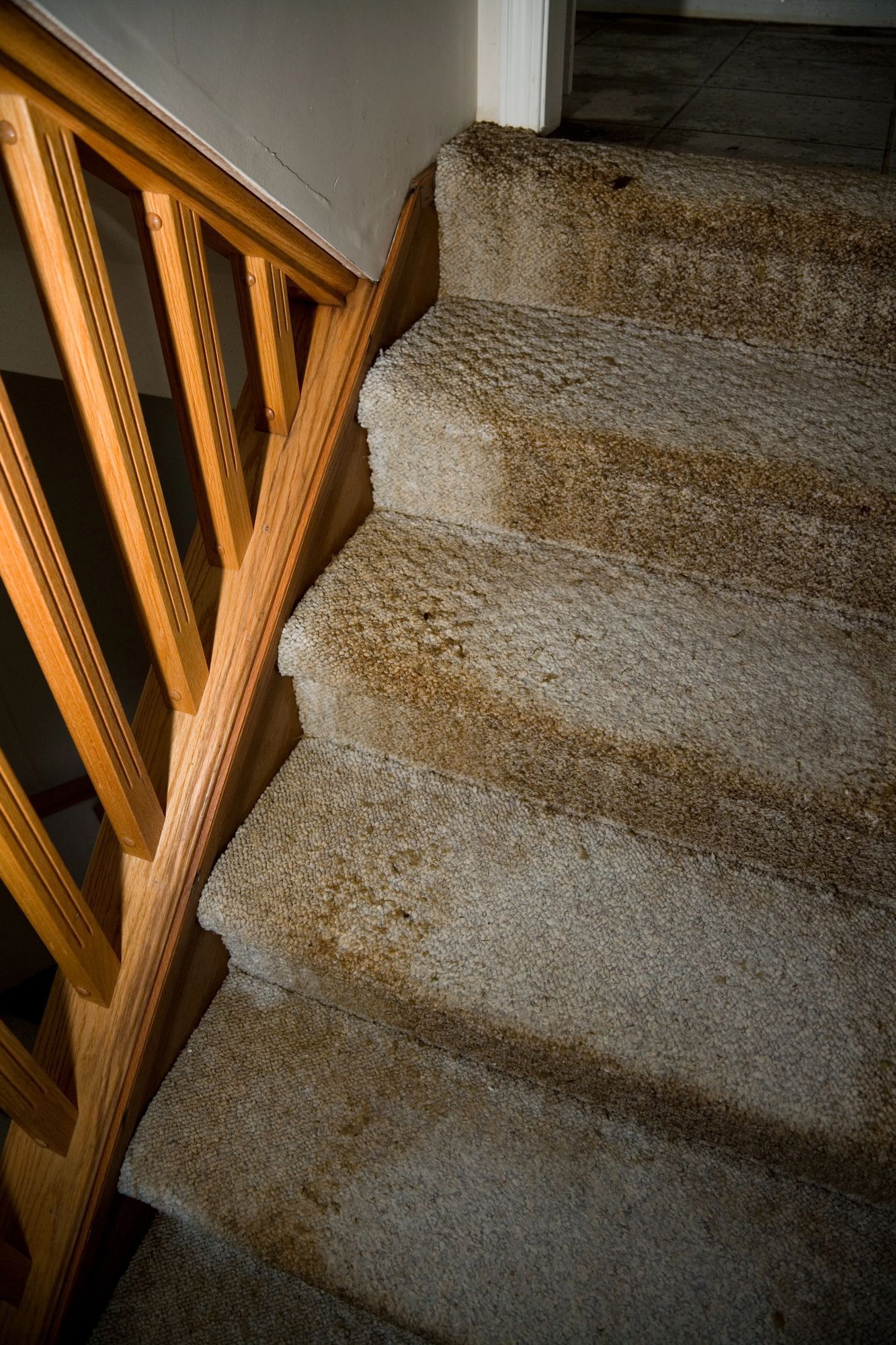 Water Damage Repair in Conroe, TX Water Damage Repair in Conroe, TX