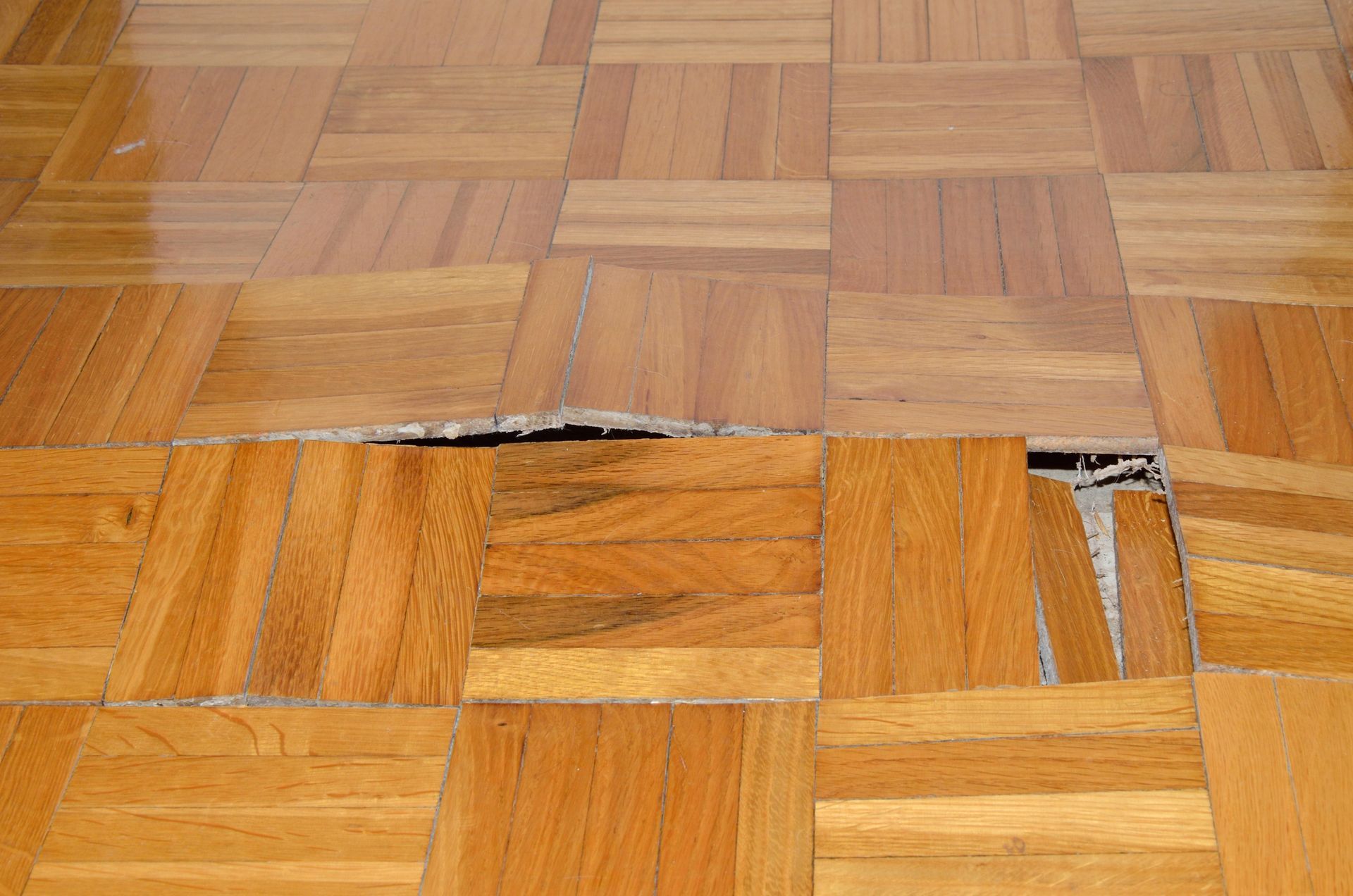 Emergency Water Damage Restoration in Conroe, TX Emergency Water Damage Restoration in Conroe, TX