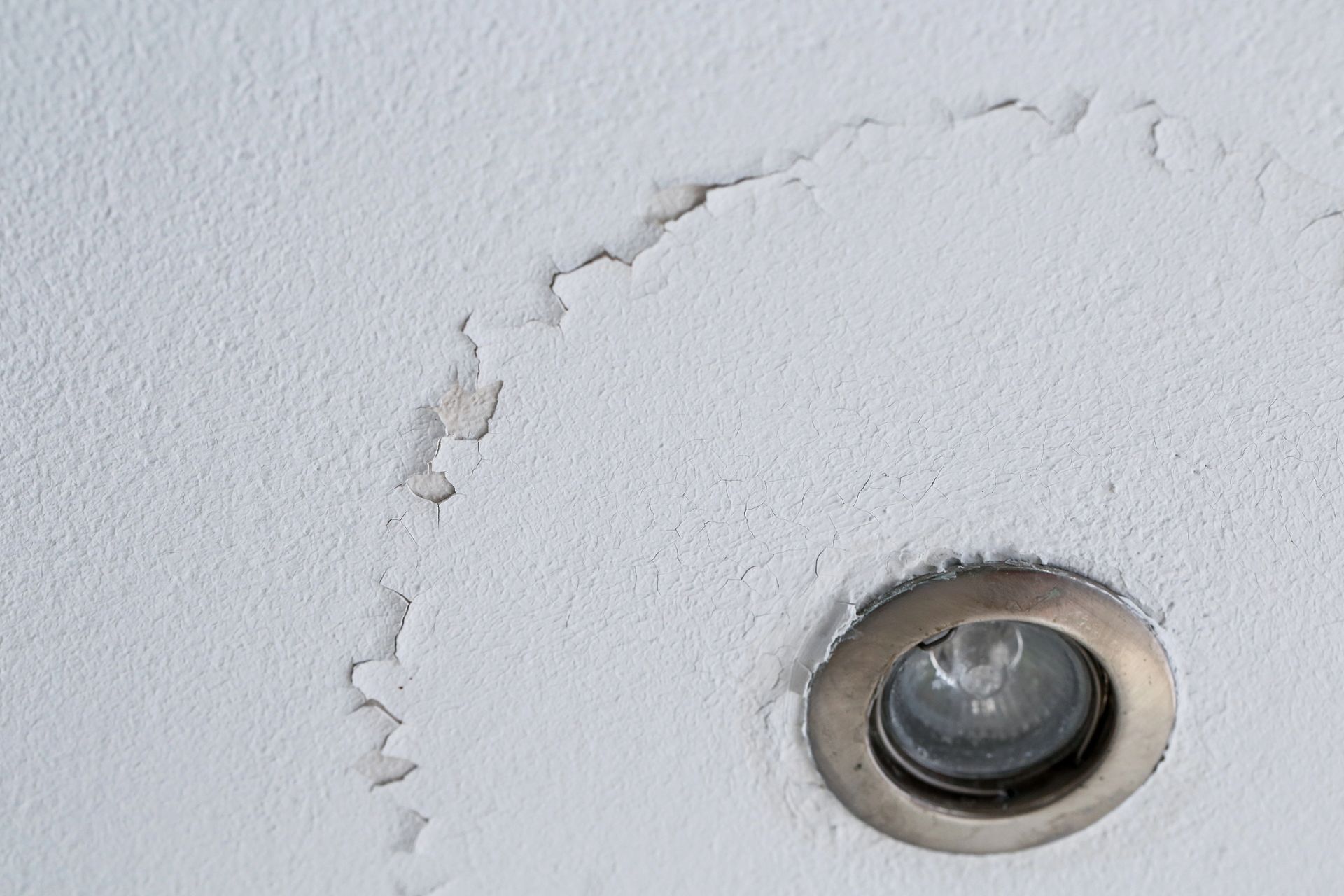 Water Damage Restoration in Conroe, TX Water Damage Restoration in Conroe, TX
