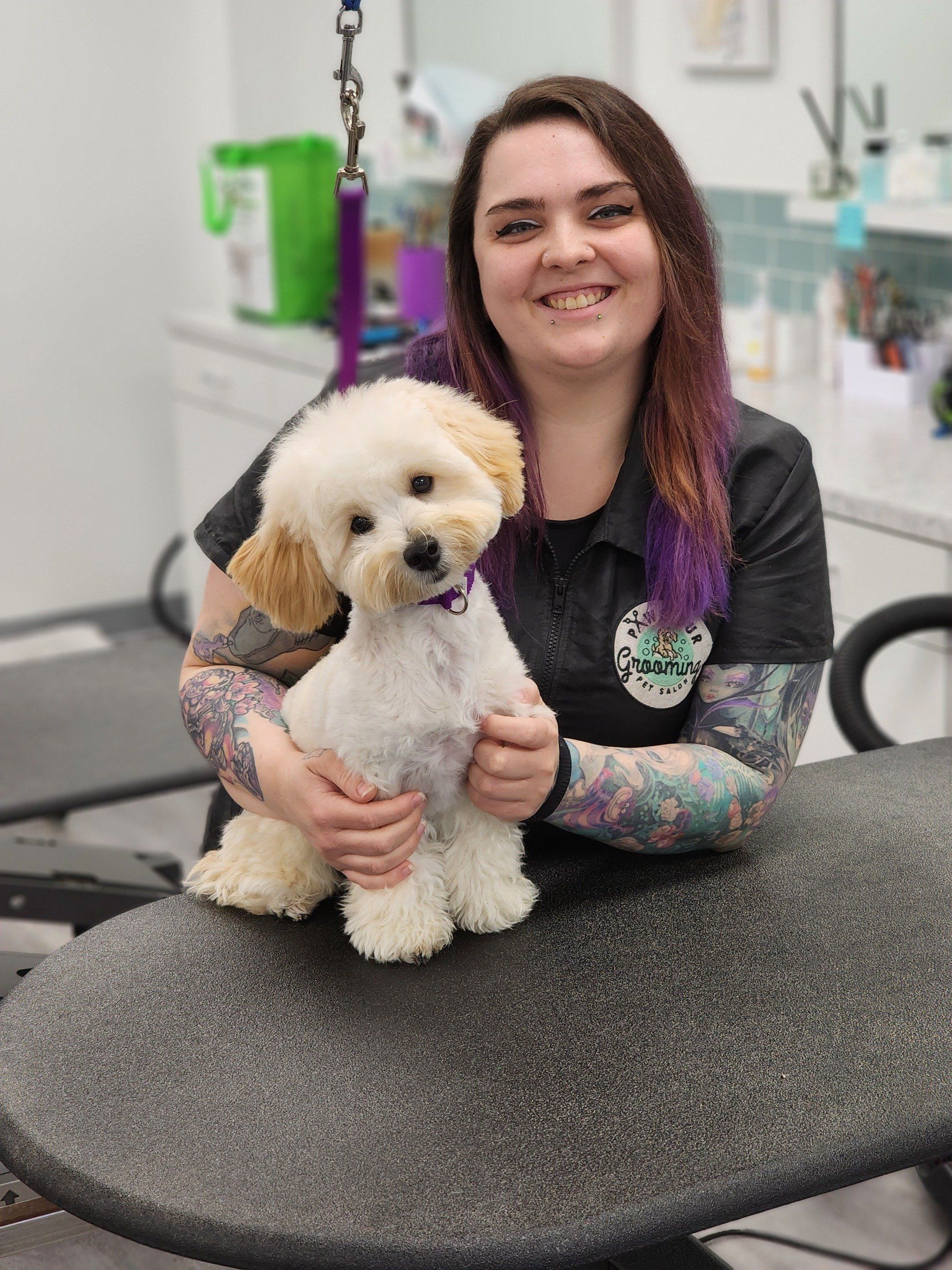 Dog Grooming Expert Holly Springs