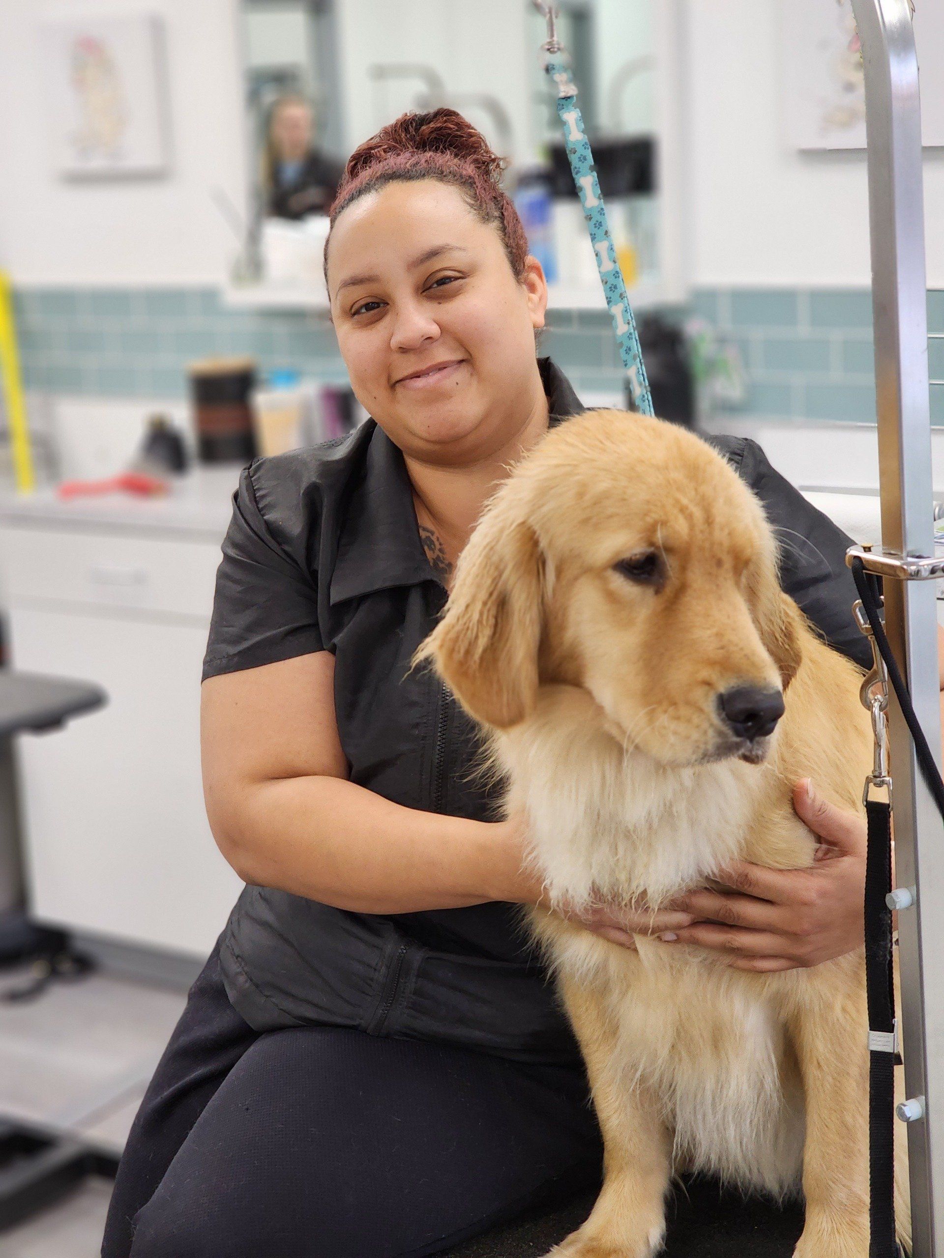 Dog Grooming Expert Holly Springs