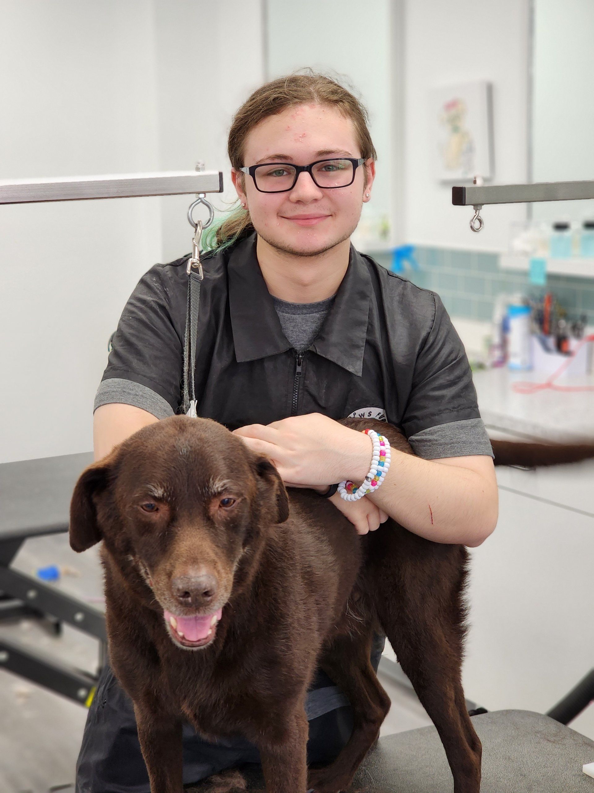 Dog Grooming Expert Holly Springs