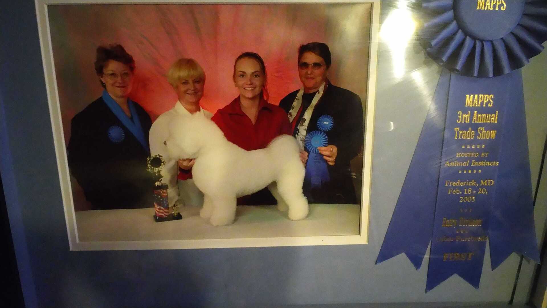 Dog Grooming Expert Holly Springs