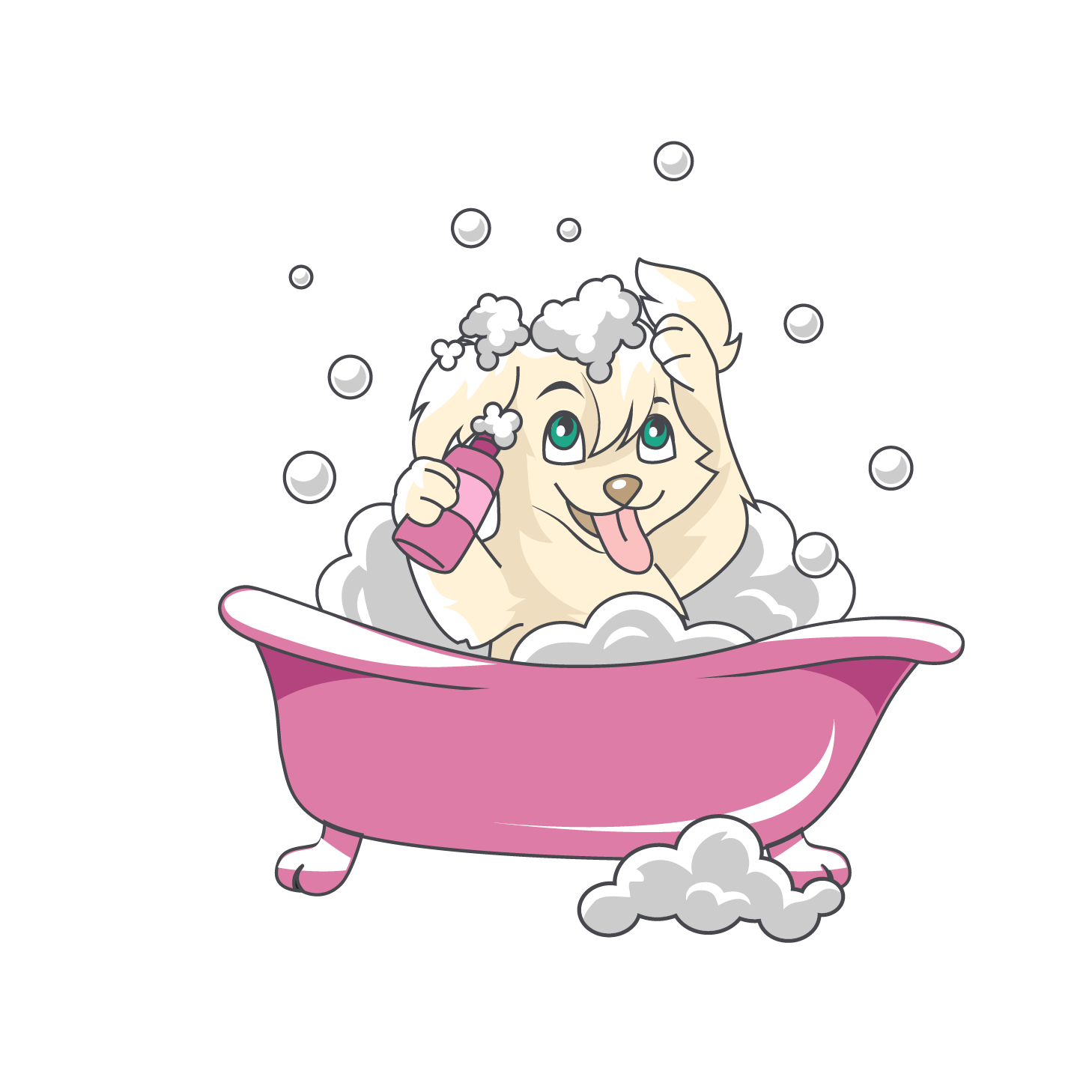 Paws Fur Grooming Pet Salon Holly Springs Paws Fur Grooming Pet Salon Holly Springs