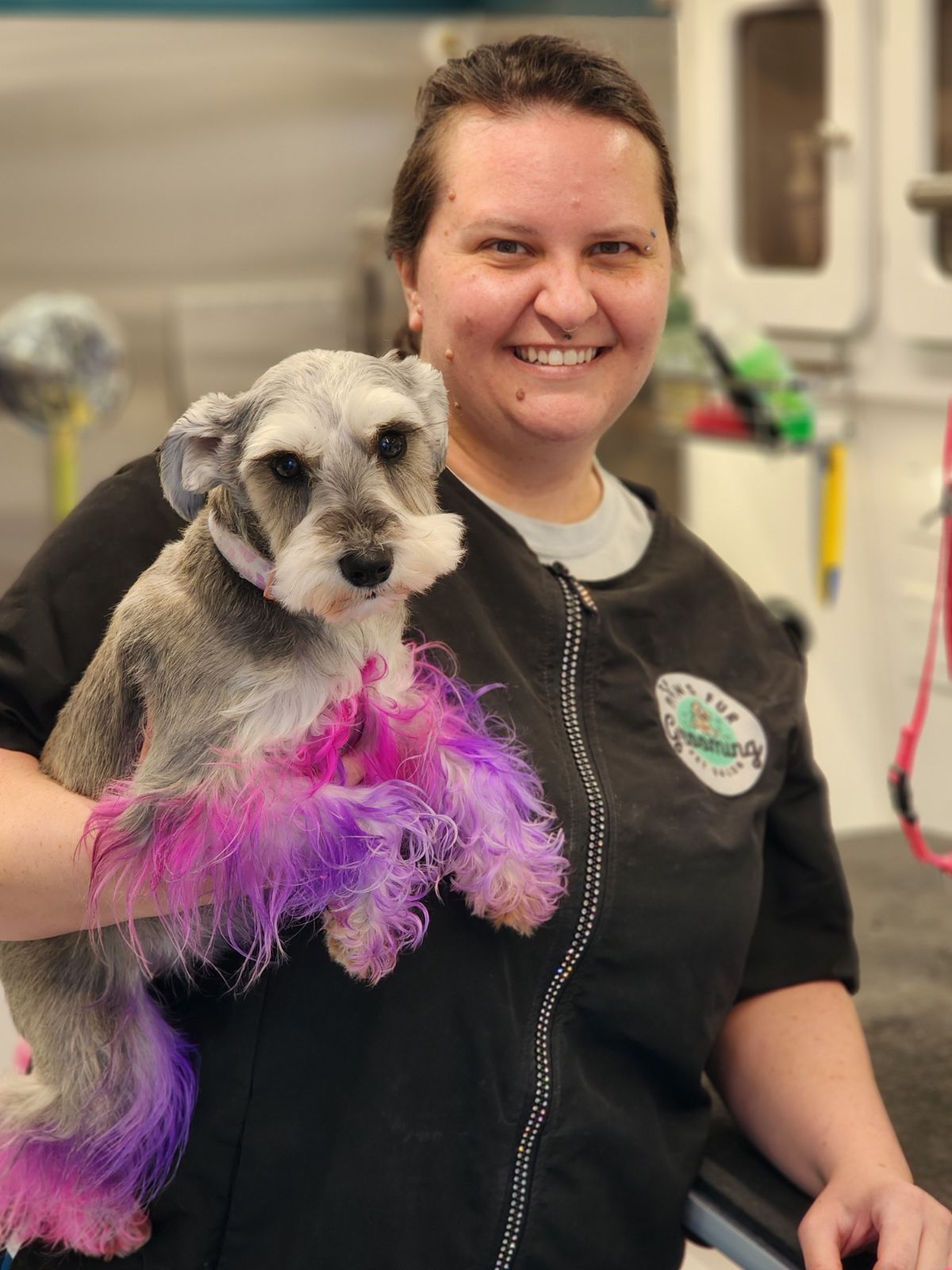 Dog Grooming Expert Holly Springs