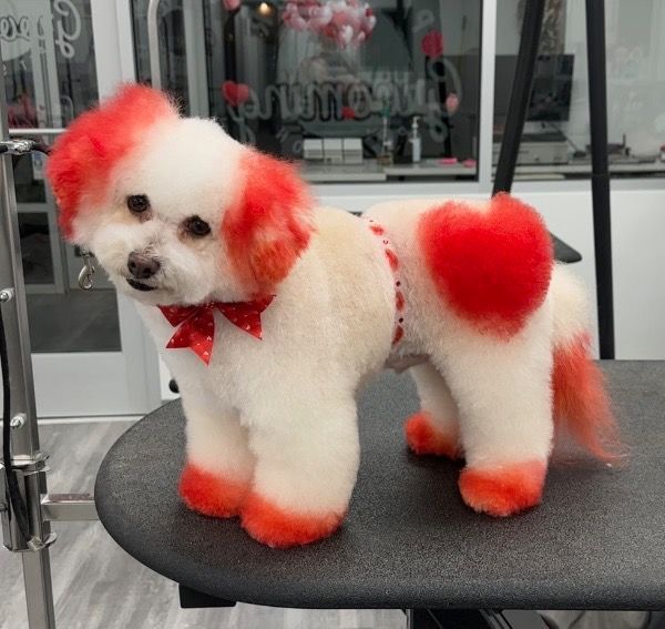 Creative Grooming at Holly Springs and Brier Creek