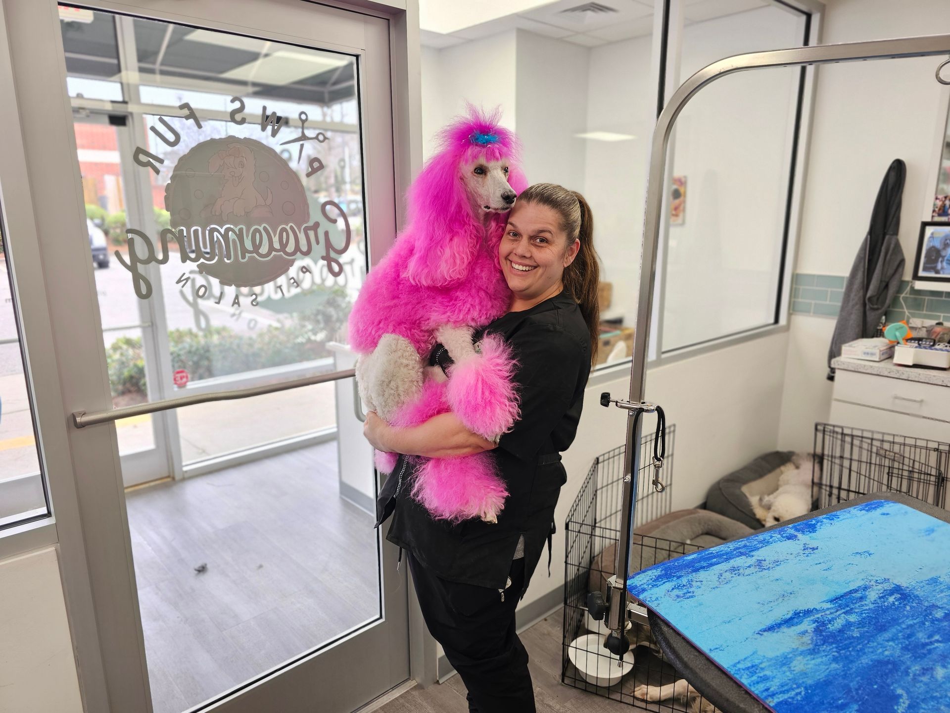 Dog Grooming Expert Holly Springs