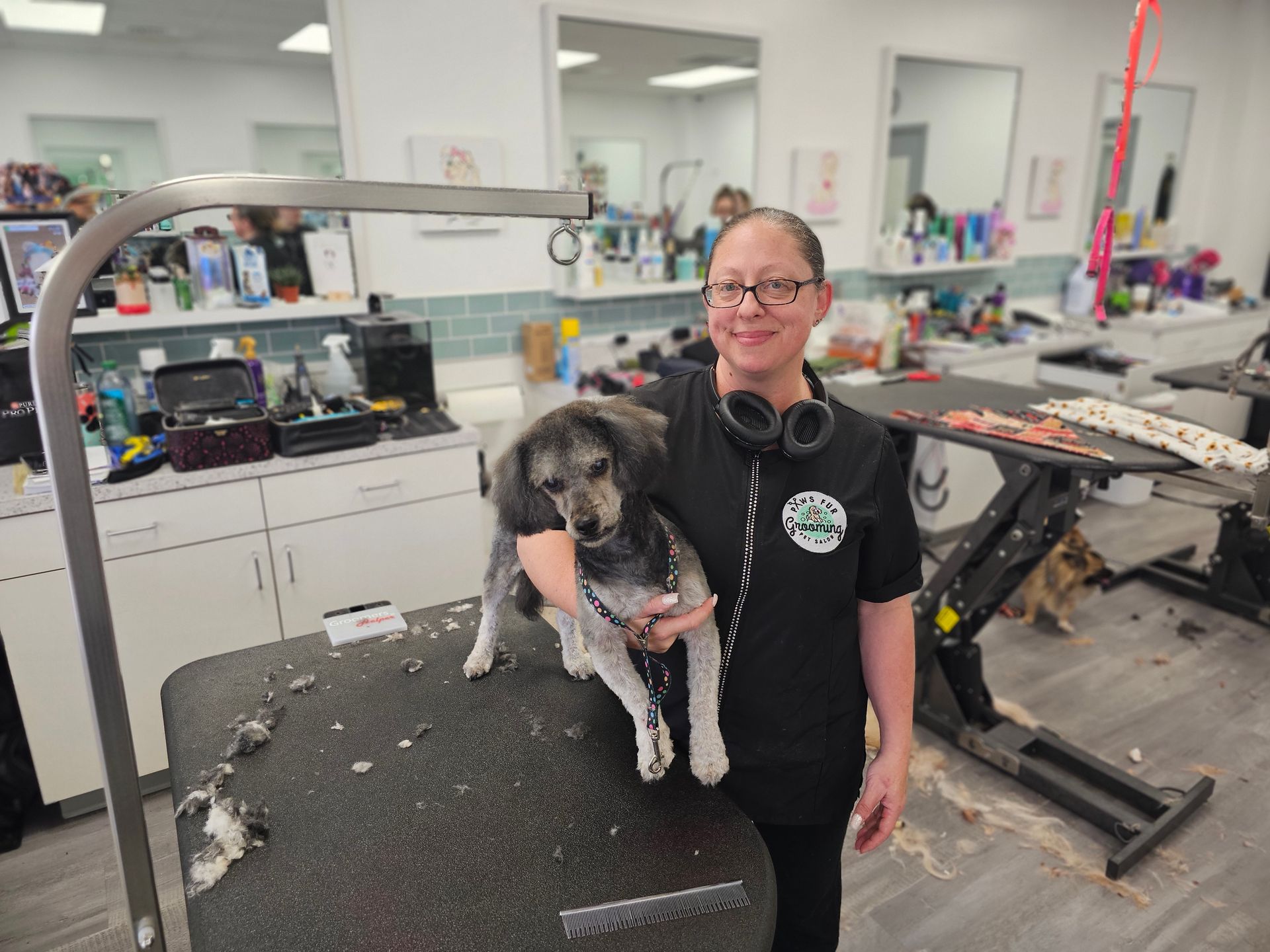 Dog Grooming Expert Holly Springs