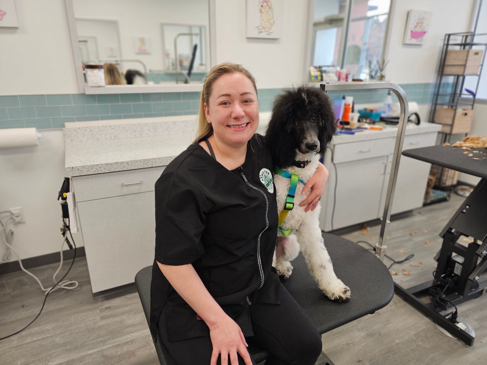 Dog Grooming Expert Holly Springs