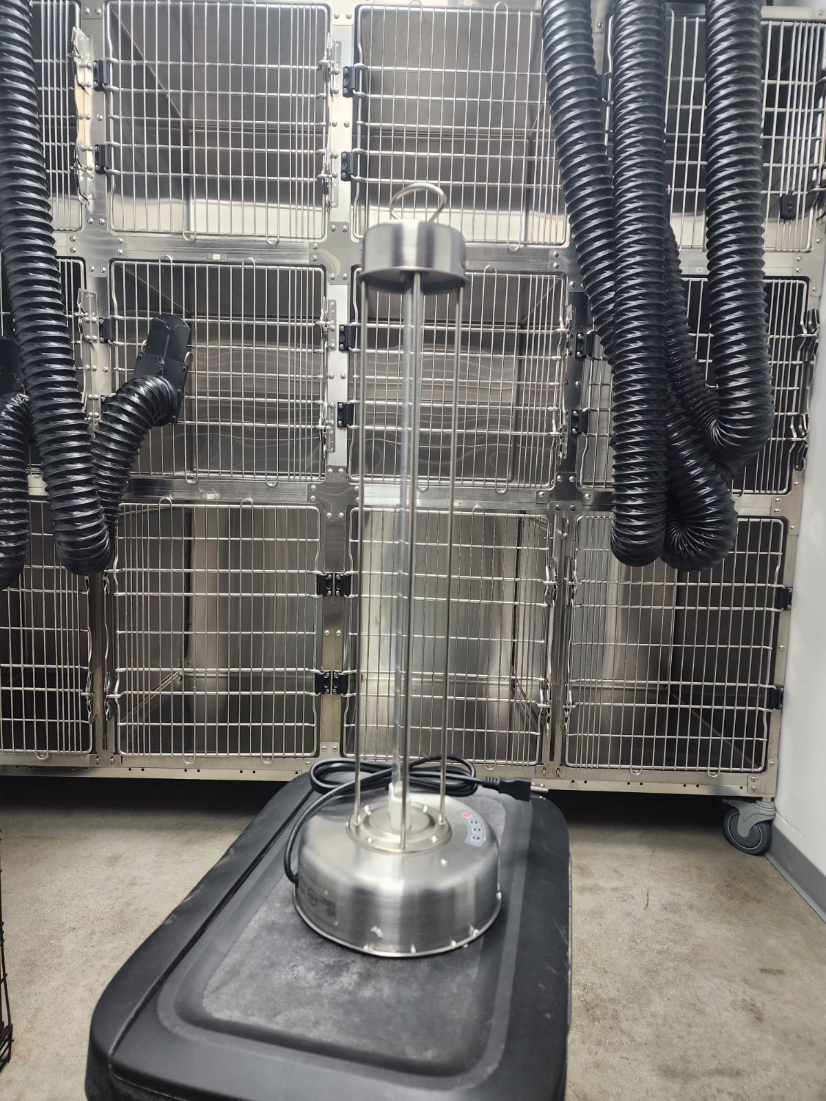 Grooming Expertise Within Reach Find The Top Rated Groomers Near You - 3vd9uoy