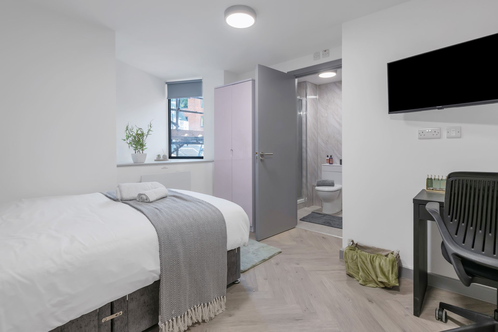 Stanley House Student Living  deluxe studio