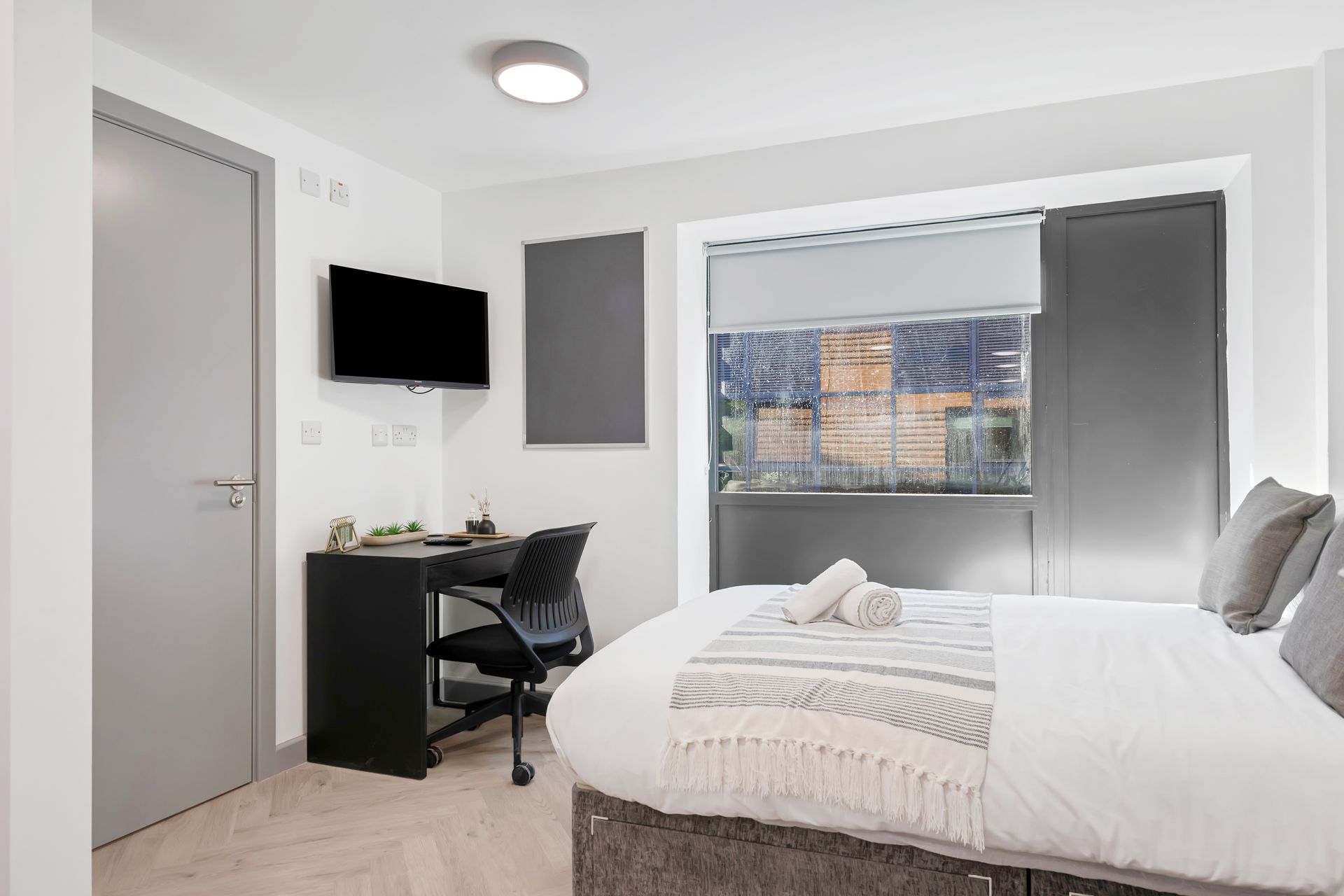 Stanley House Student Living  deluxe studio