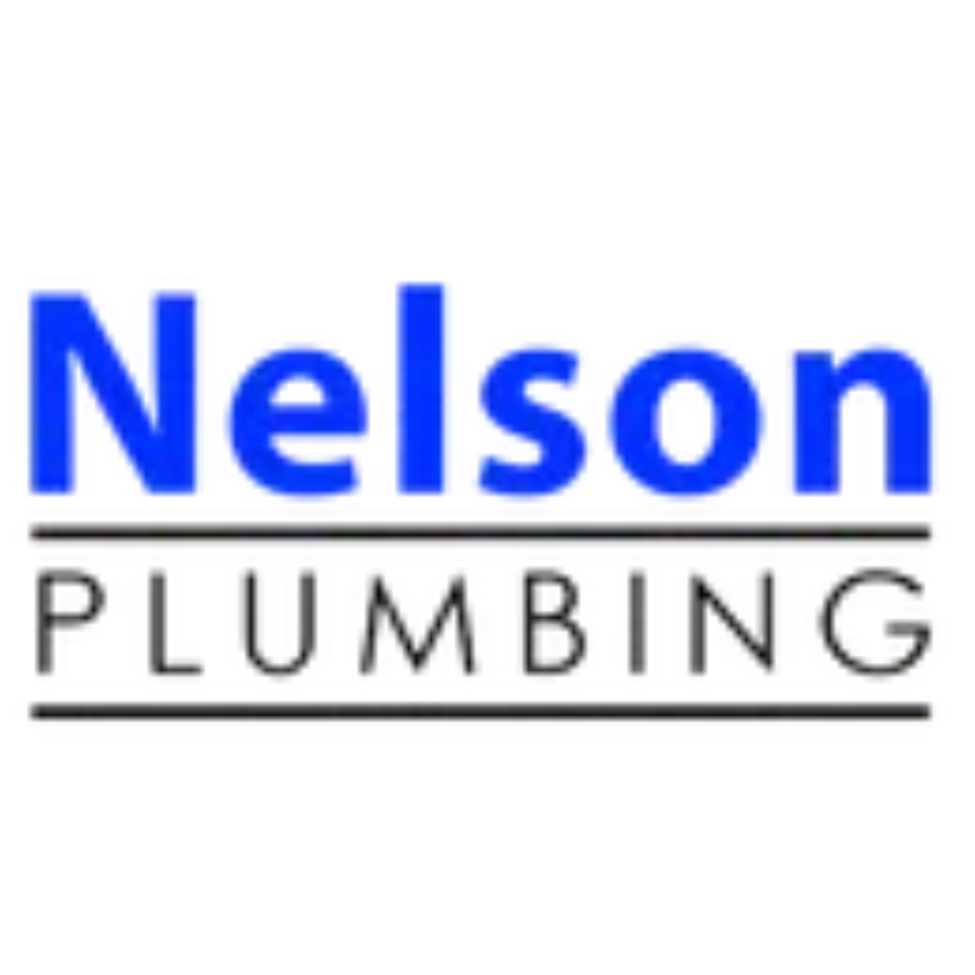 Nelson Plumbing cover