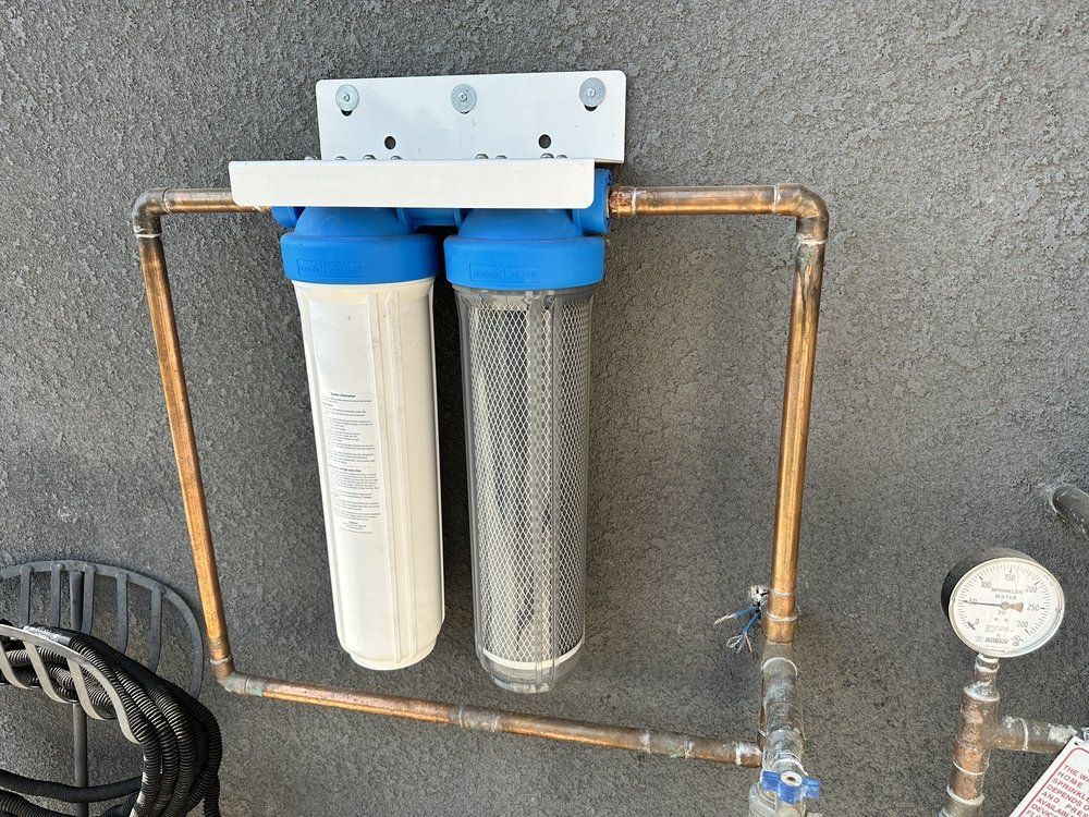 Two-stage water filter system with blue caps, copper piping, and a pressure gauge mounted on a wall