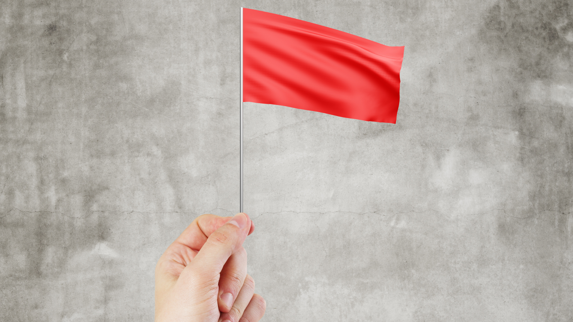 A person is holding a small red flag in their hand.
