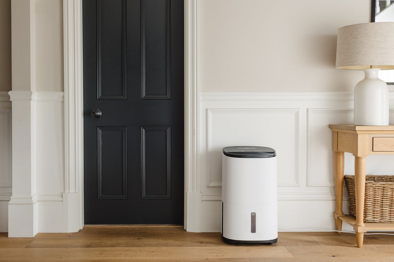 best dehumidifier in Nashville, TN