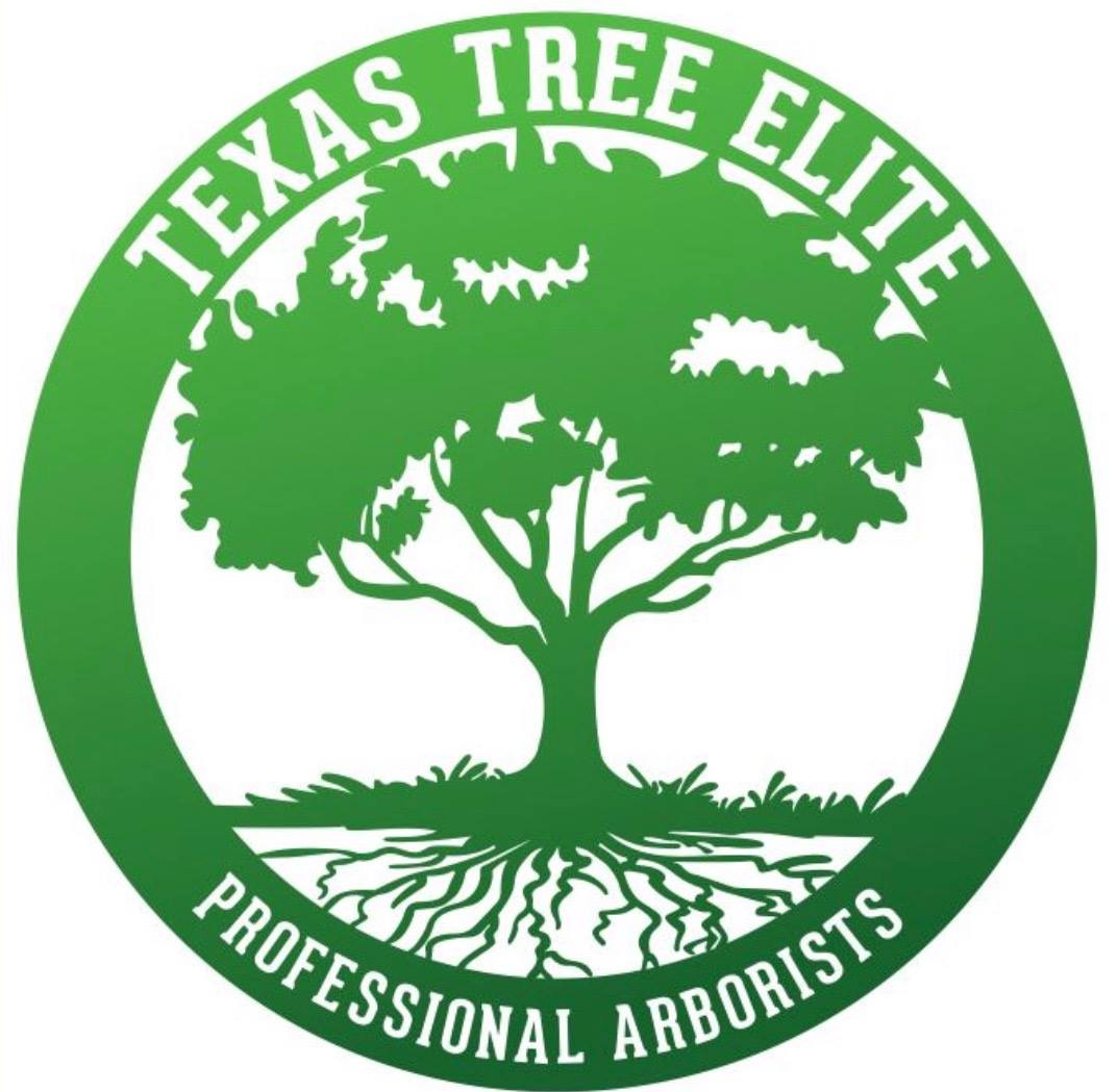 Texas Tree Elite LLC Top Rated Tree Service in Spring, Texas