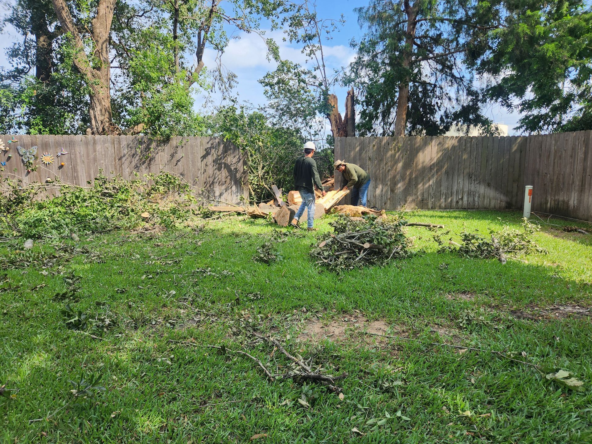 Two people raking leaves in a grassy backyard beside a wooden fence and trees.