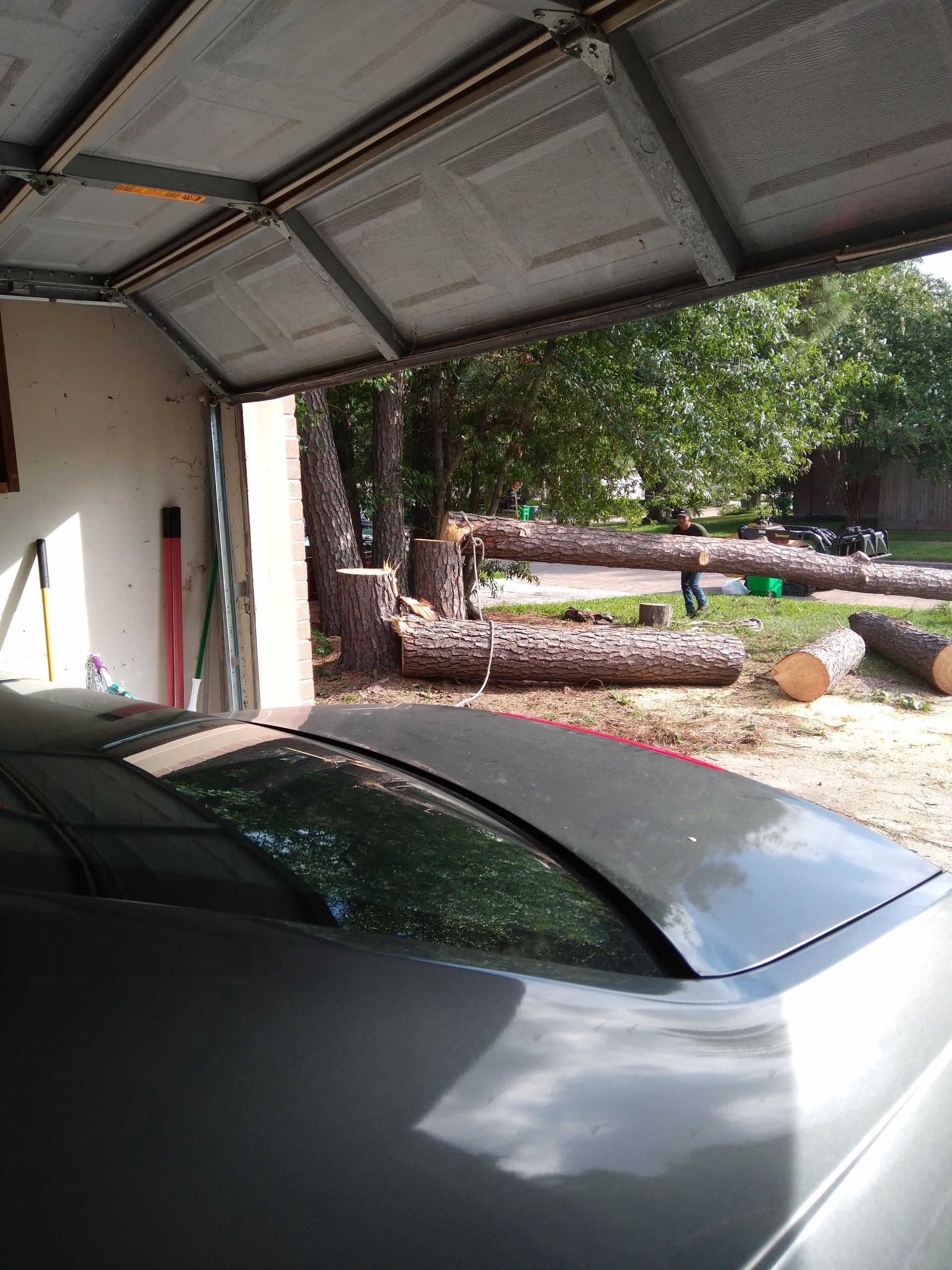 Silver car parked in a garage with the door open to a yard and trees beyond.