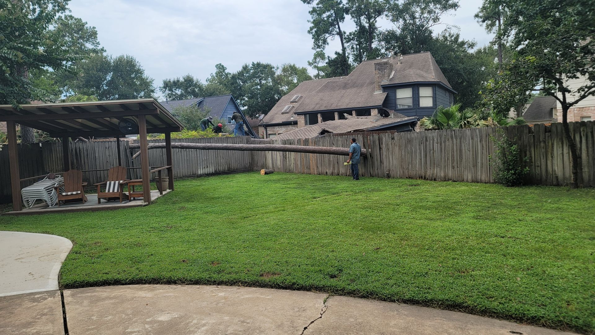 Grassy backyard with fenced yard, covered patio, and thatched-roof hut beside a concrete patio
