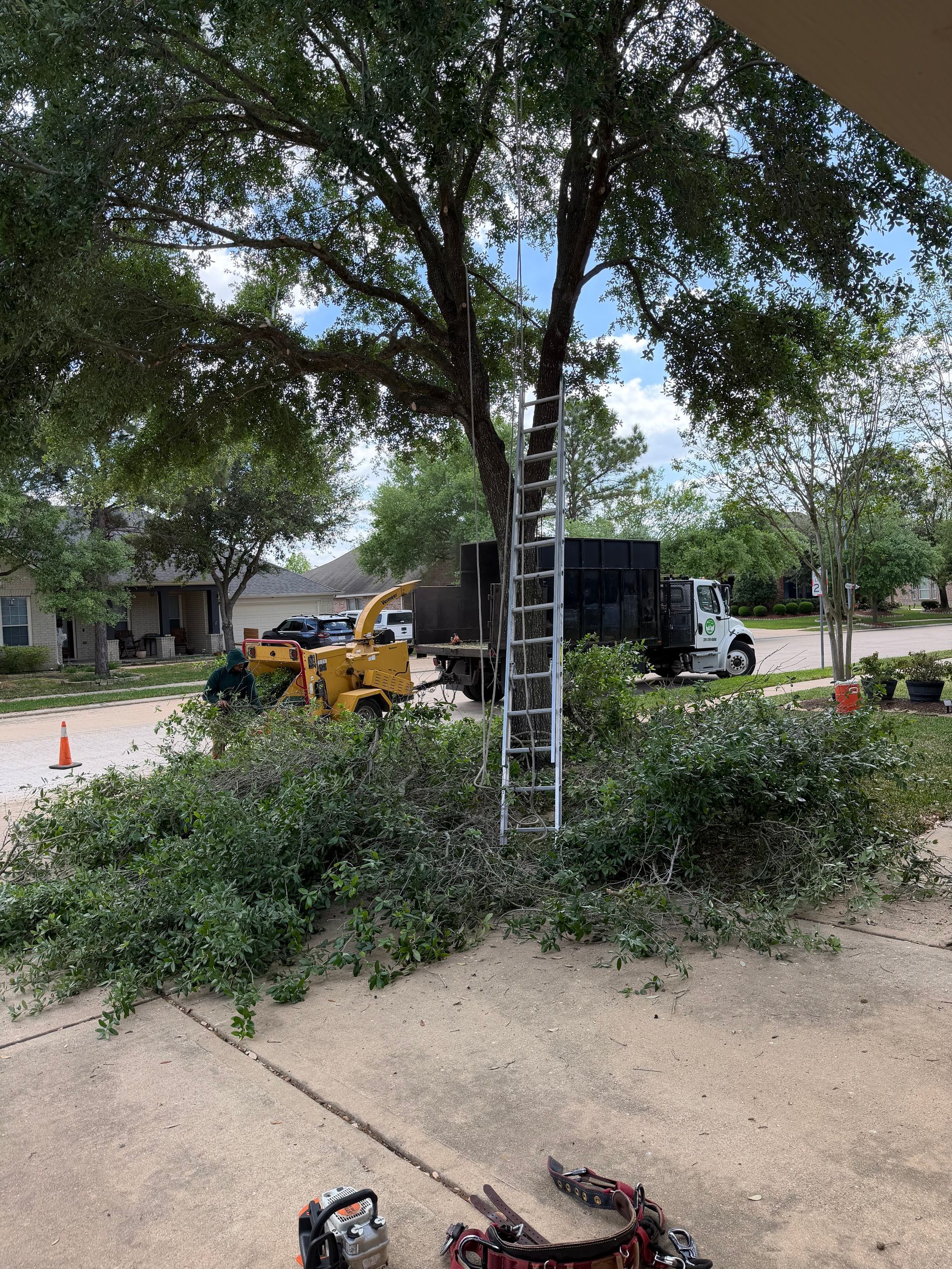Tree pruning scene with a ladder, truck, and yellow wood chipper beside cut branches in a yard