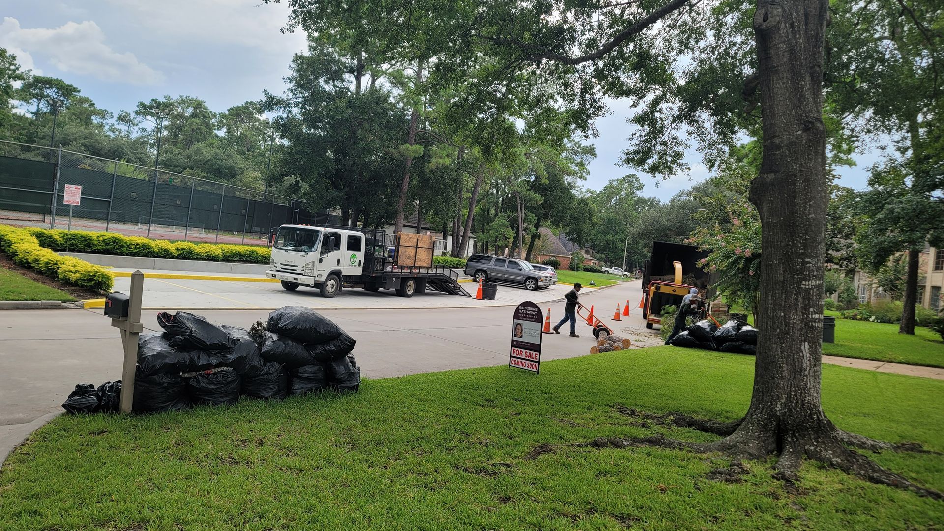 Park landscaping work with trucks, cones, and workers near a tree-lined road