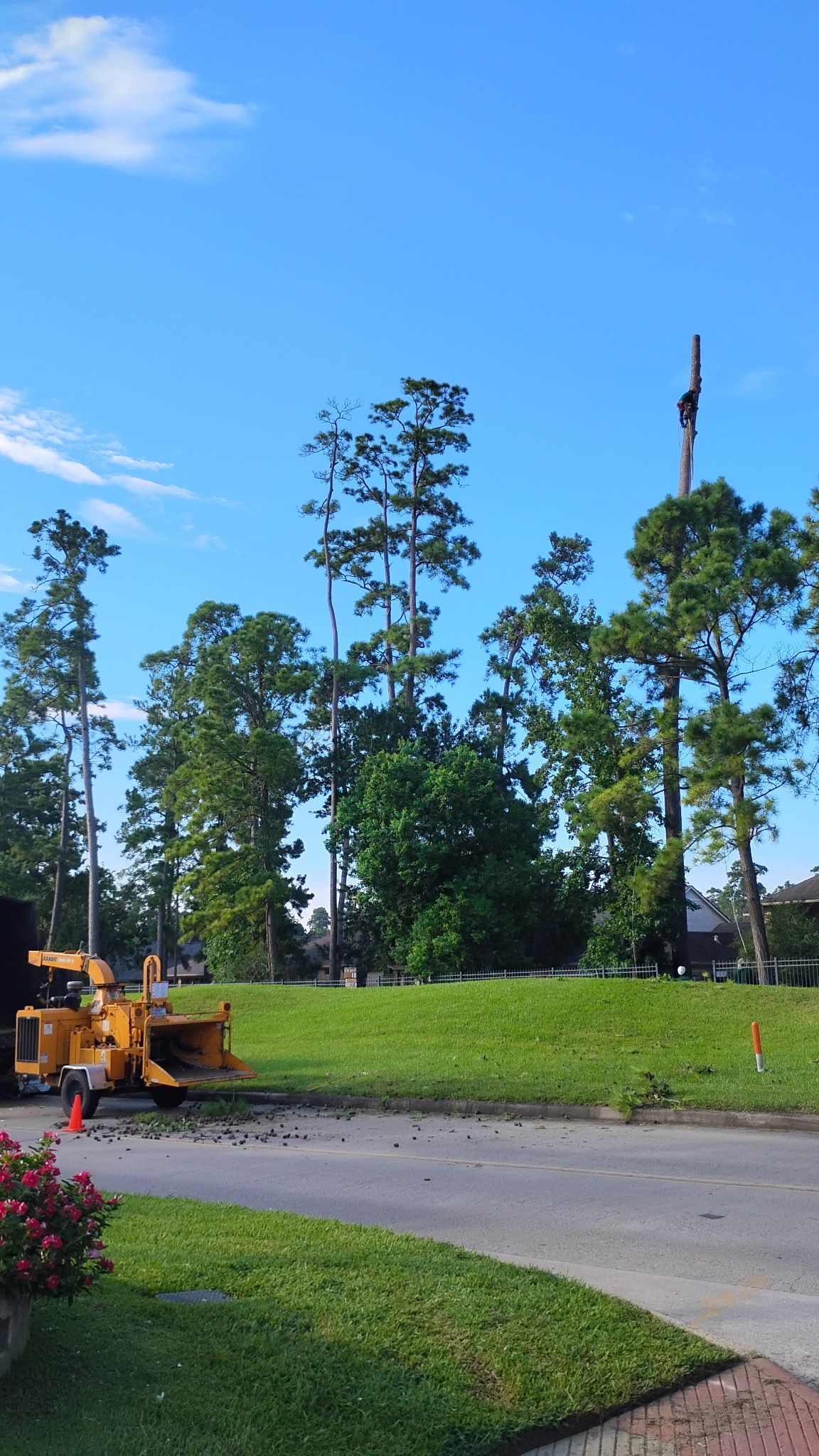 Roadside construction equipment beside a grassy slope and tall trees under a clear blue sky