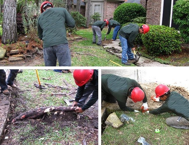 Workers in red hard hats clearing a fallen tree in a yard