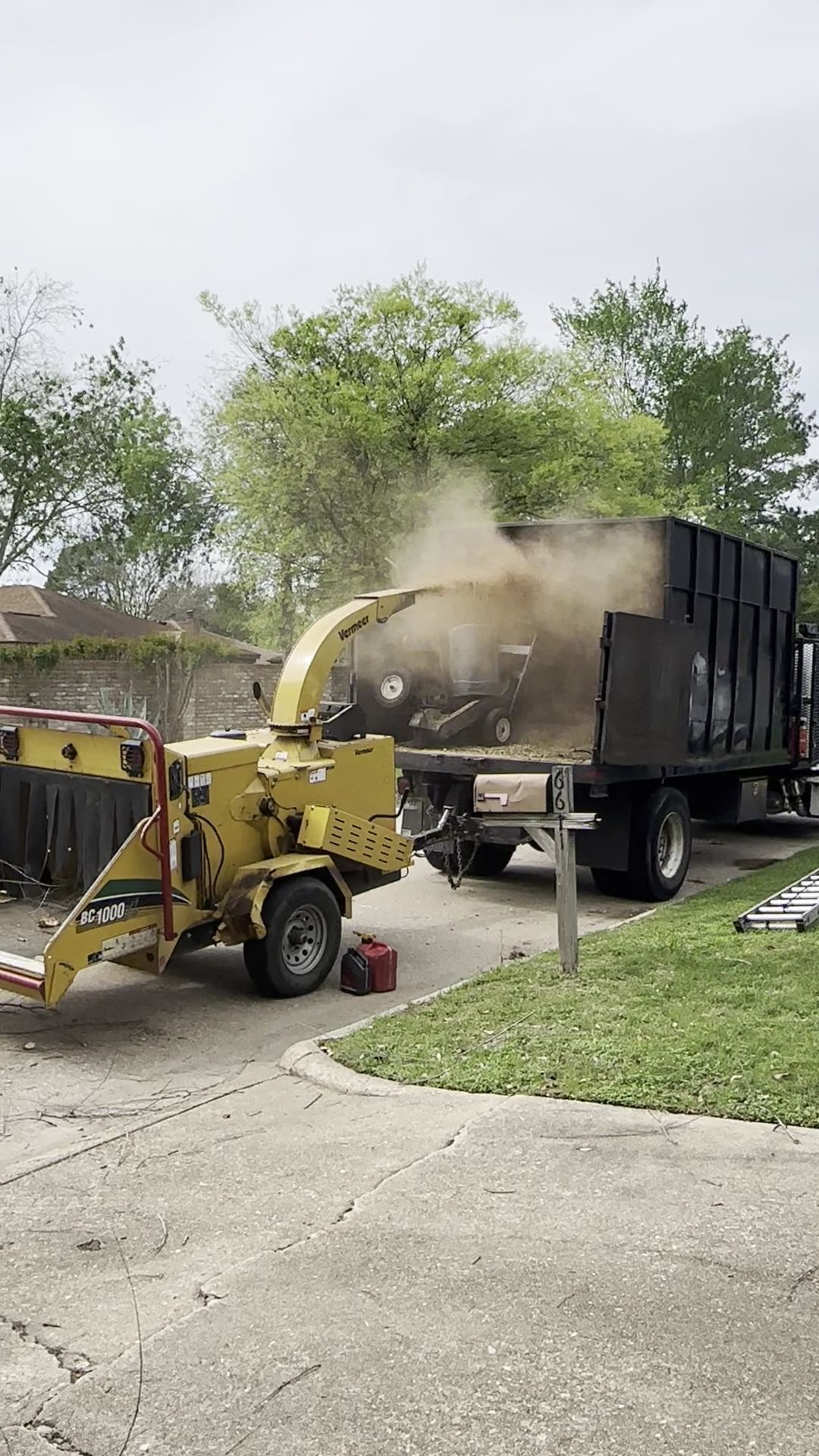 Yellow wood chipper blowing debris into a black dump truck on a suburban street
