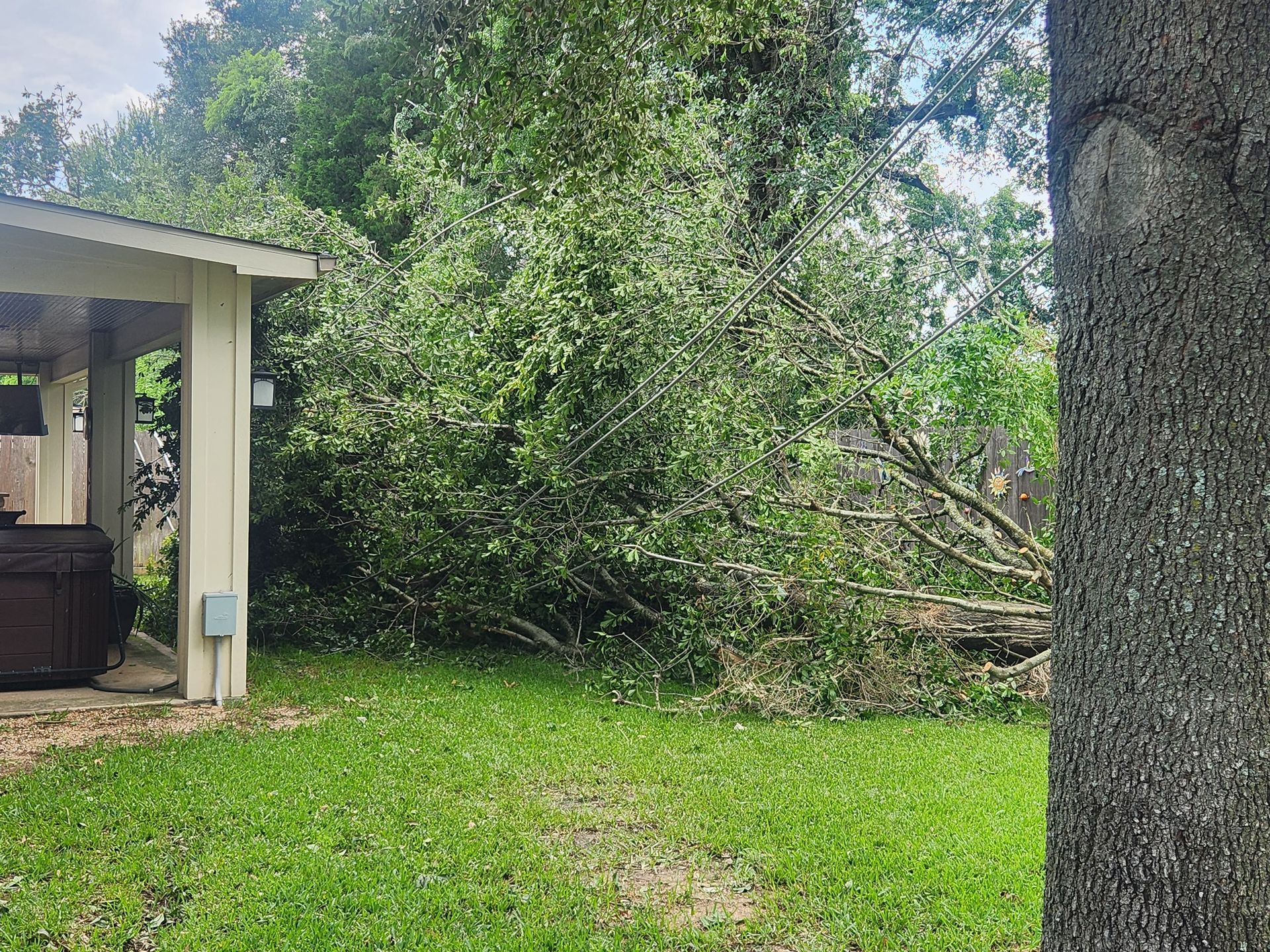 Backyard with green grass, dense trees, and a covered patio on the left.