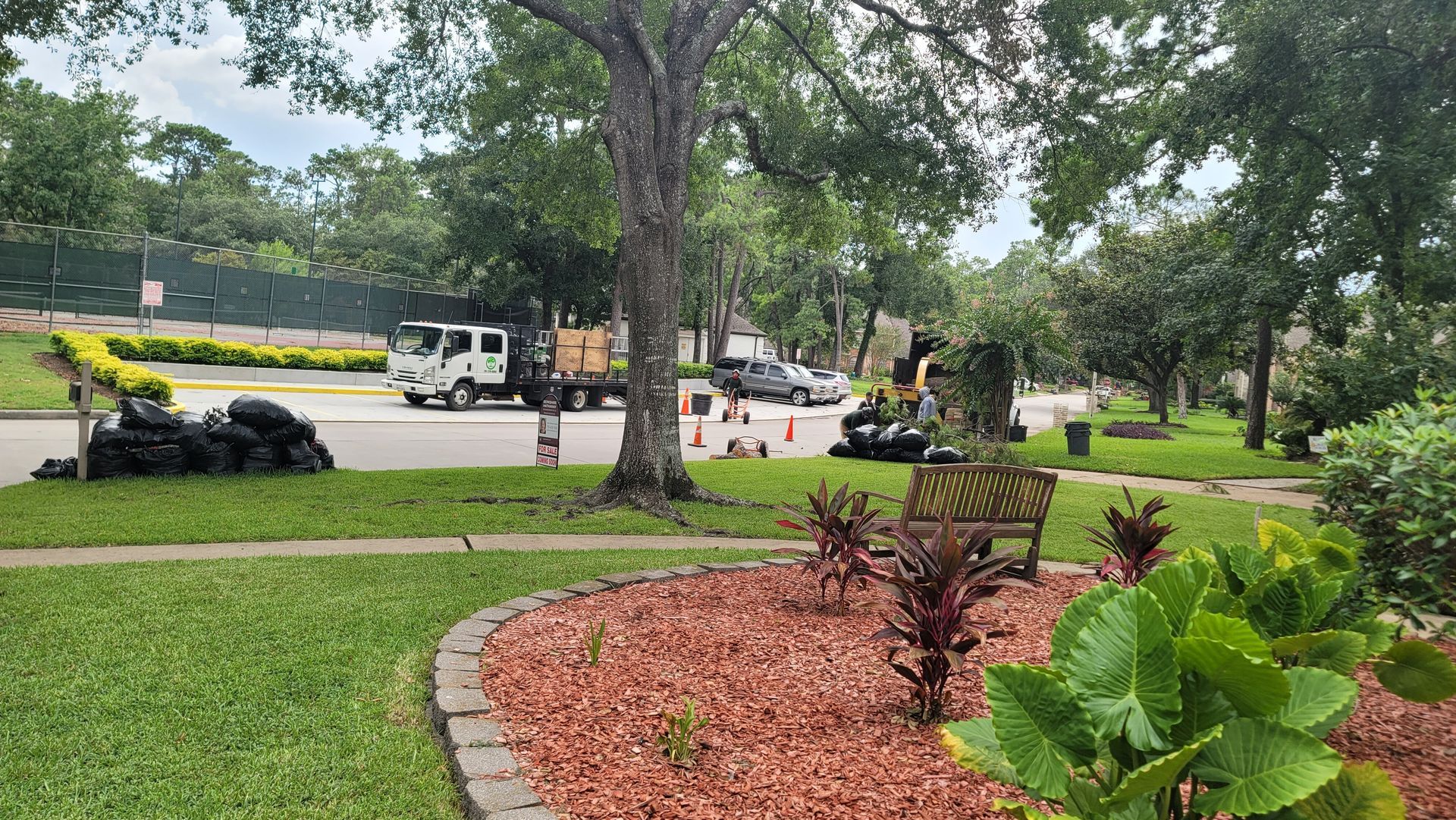 Landscaped yard with red mulch, green plants, a large tree, and a parked vehicle in the background