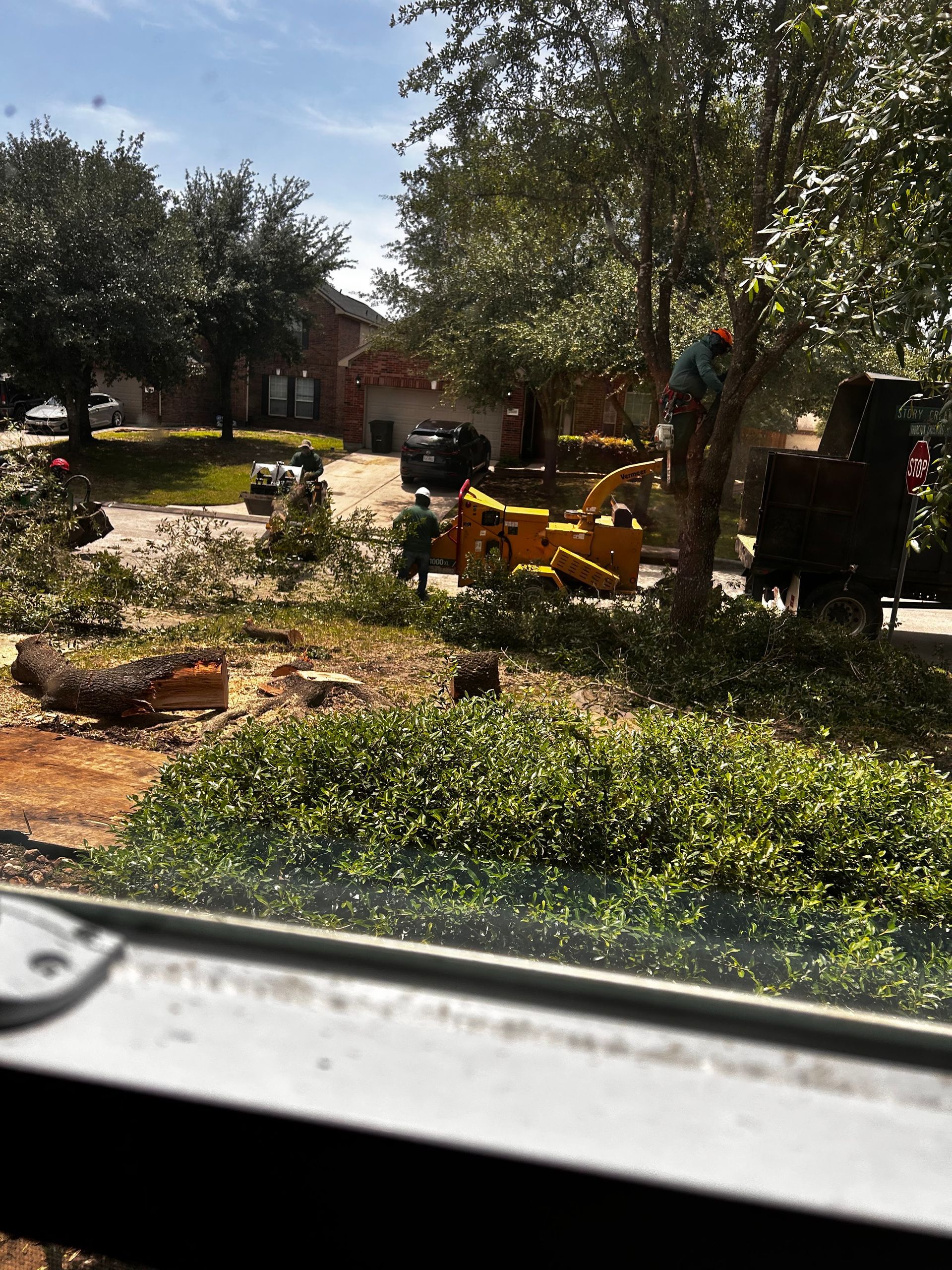 Sunny garden with trees, shrubs, and a yellow construction vehicle near a building.