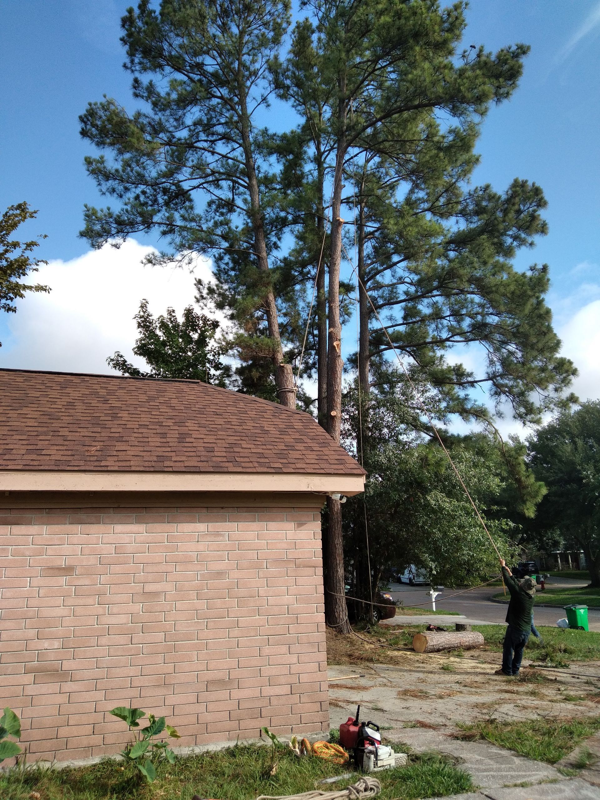 Brick house beside tall pine trees under a blue sky, with a person standing in the yard.