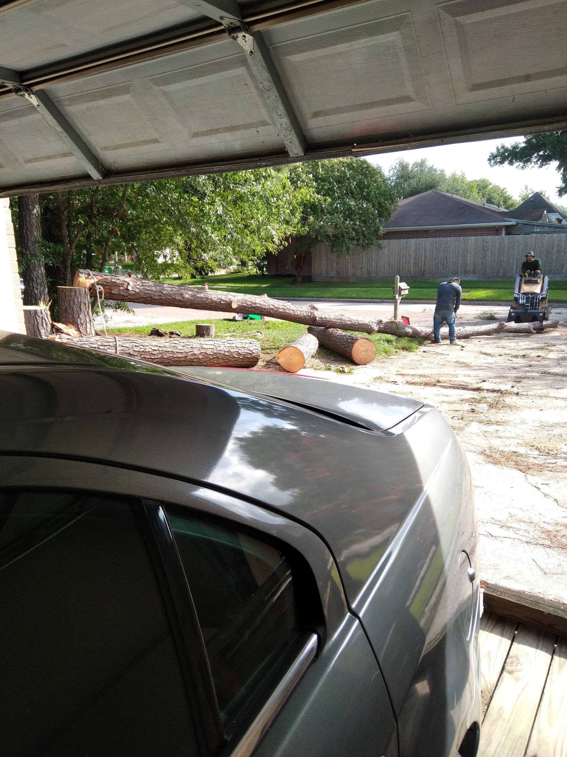 Carport view of a yard with a fallen tree trunk, two people in the distance, and a car in the foreground