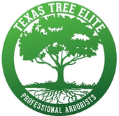 Green circular logo with a tree silhouette and roots, reading “Texas Tree Elite” and “Professional Arborists.”