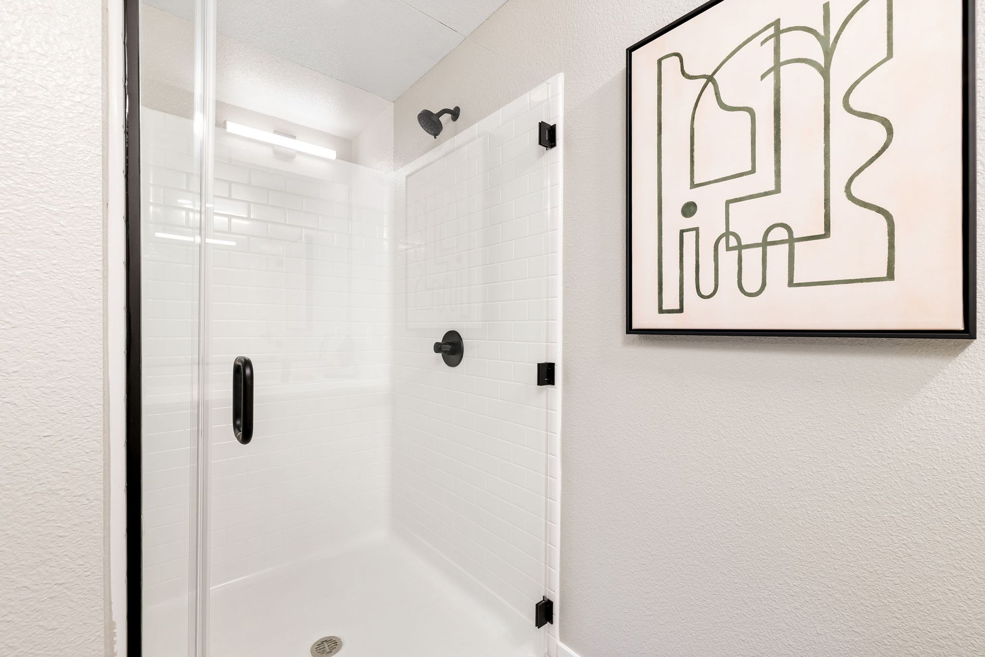 A bathroom with a shower and a picture on the wall.