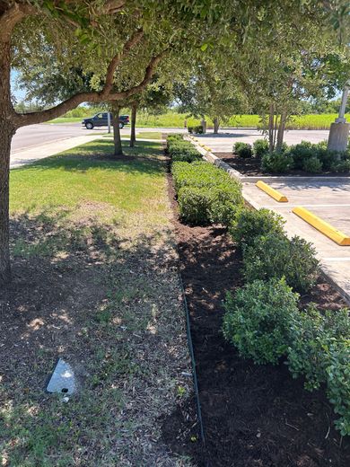 Sidewalk beside a hedge and parking lot under trees, with a yellow curb and open drain trench