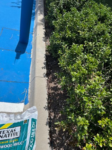 Blue sidewalk beside concrete curb and green hedge in bright sunlight