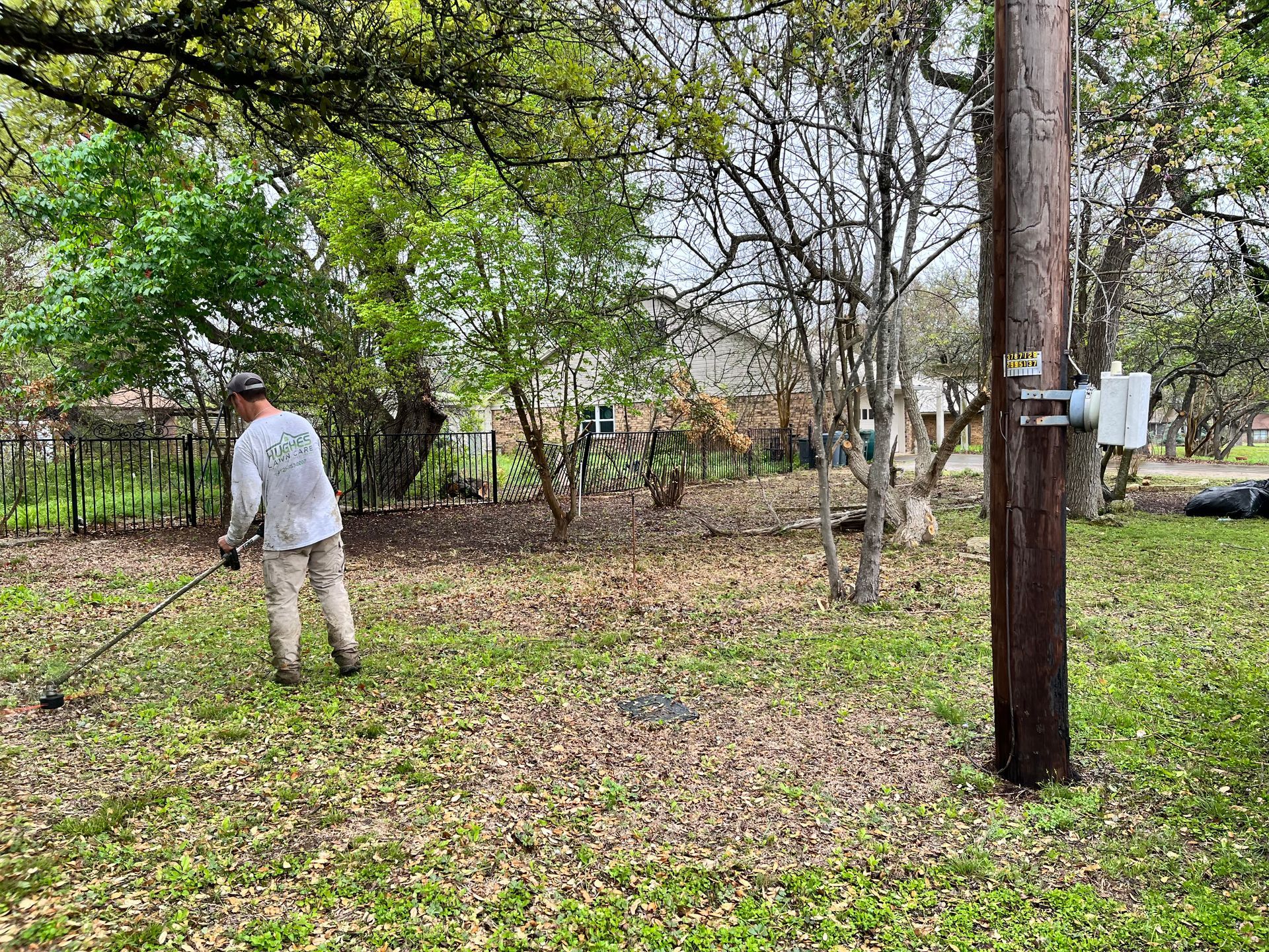 Person raking leaves in a wooded park with trees and utility poles