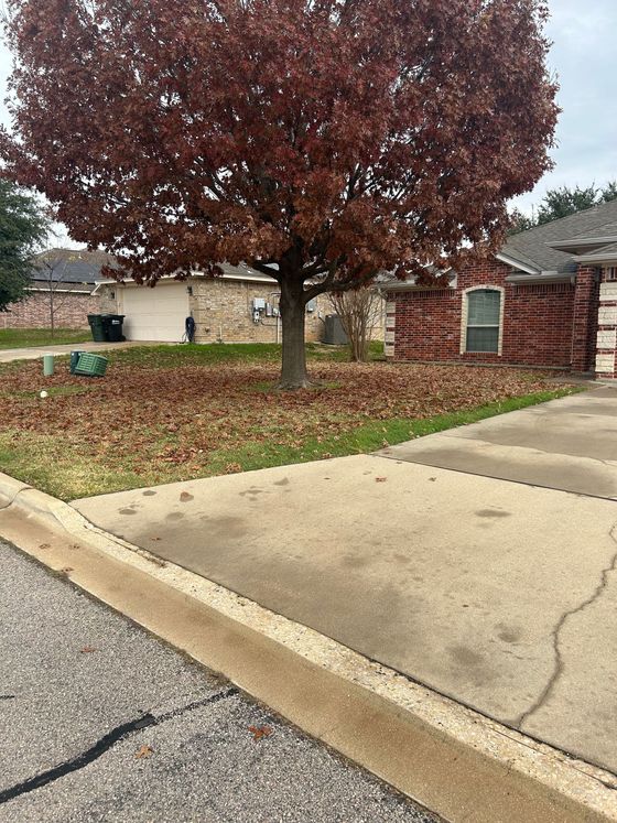 Driveway and front yard with a large reddish tree, brick wall, and a house roofline in the background.
